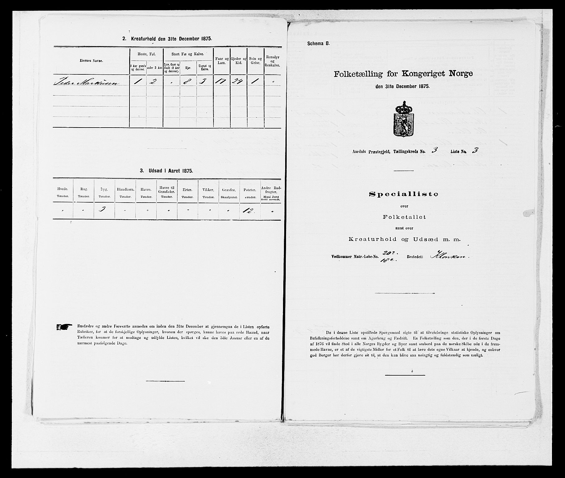 SAB, Folketelling 1875 for 1424P Årdal prestegjeld, 1875, s. 313