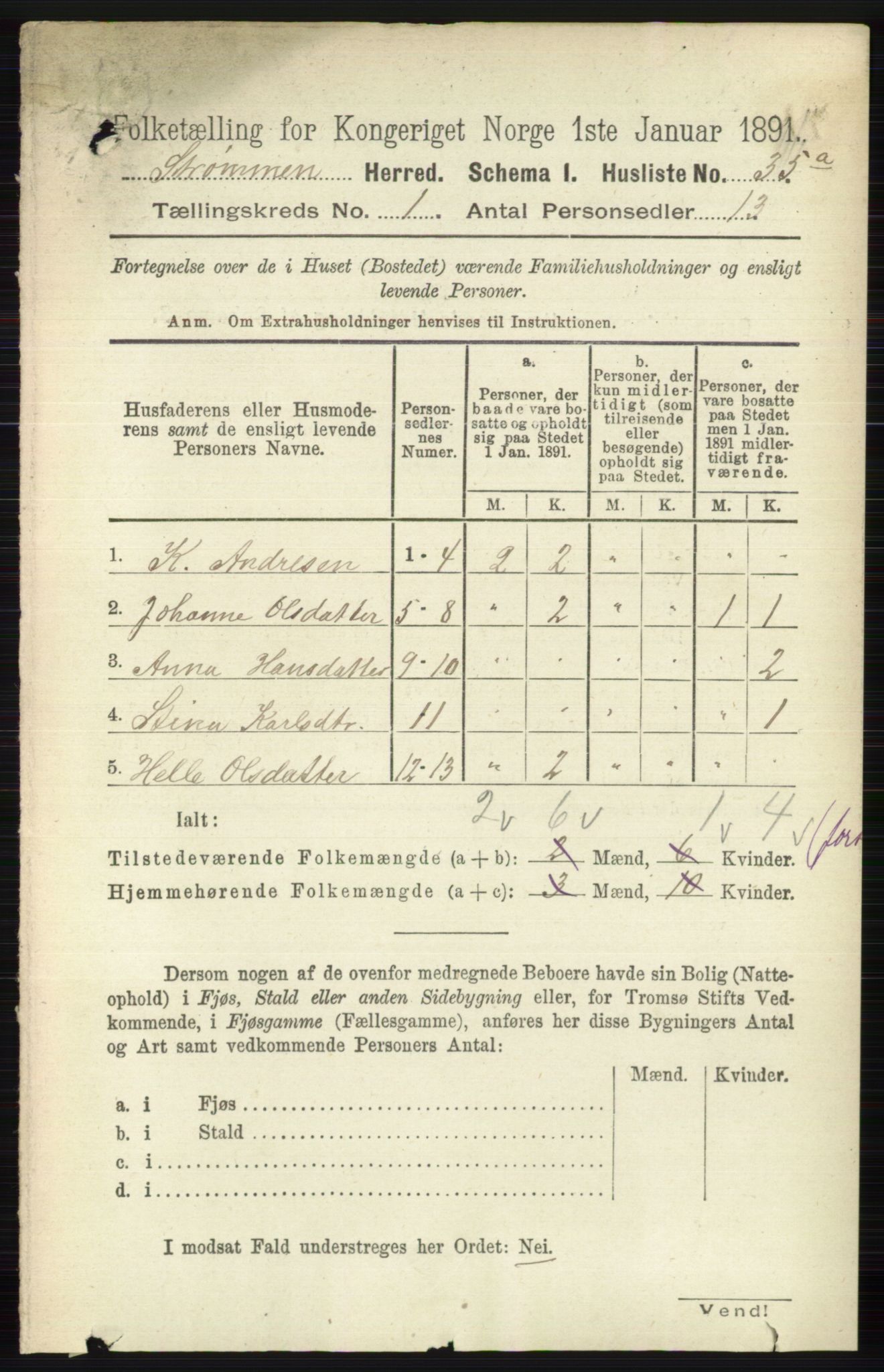 RA, Folketelling 1891 for 0711 Strømm herred, 1891, s. 51