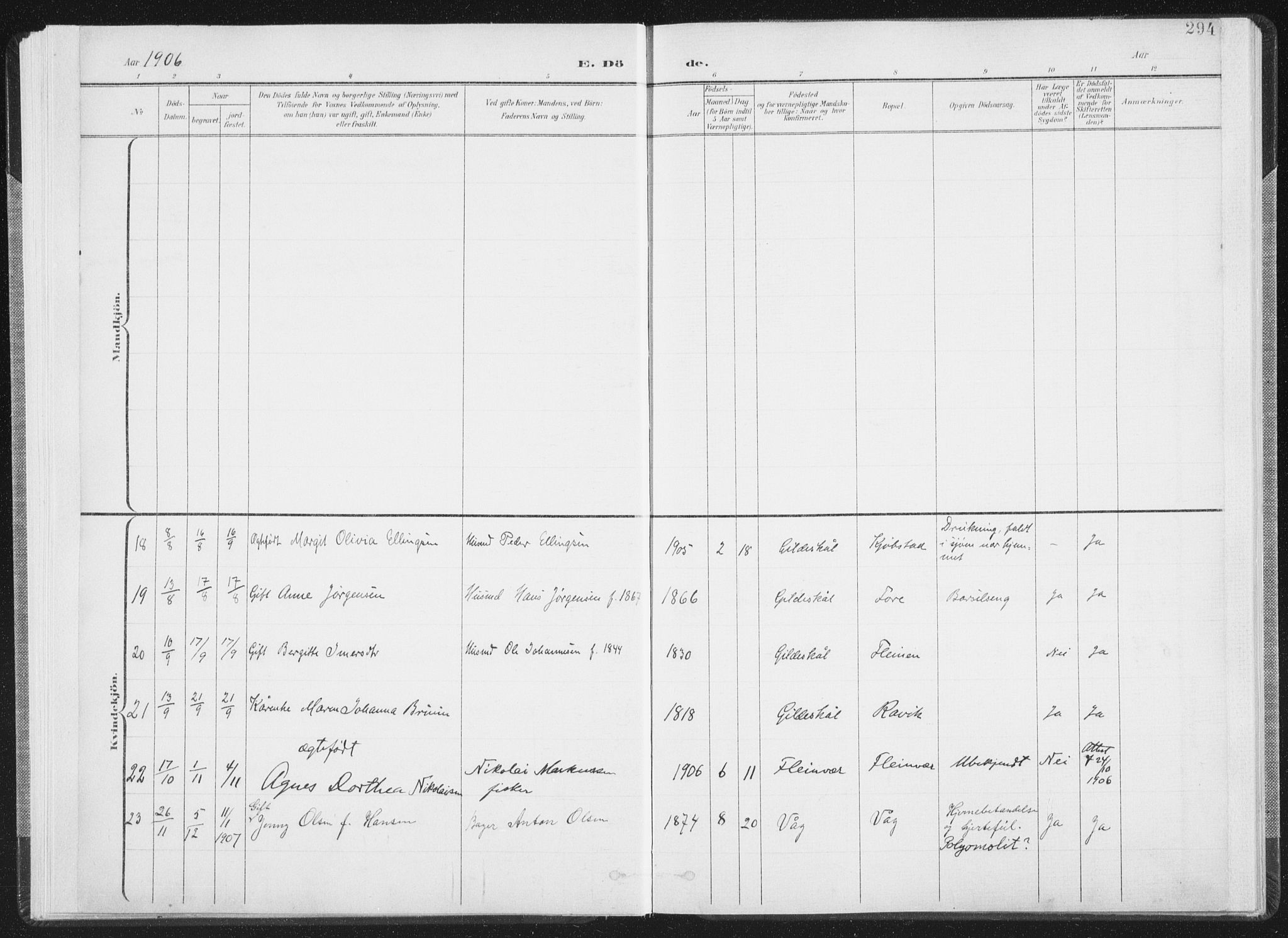 Ministerialprotokoller, klokkerbøker og fødselsregistre - Nordland, AV/SAT-A-1459/805/L0103: Ministerialbok nr. 805A08II, 1900-1909, s. 294