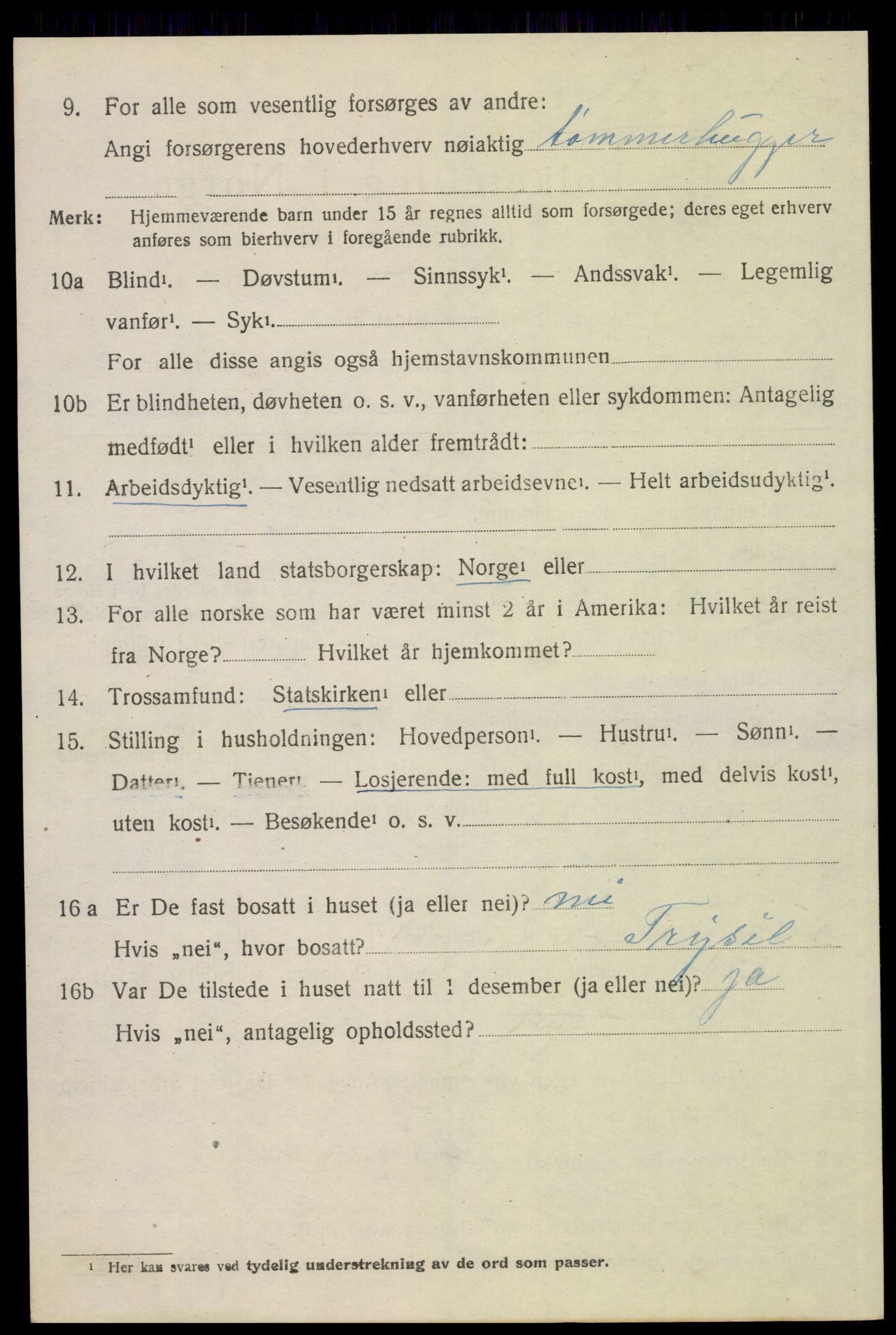 SAH, Folketelling 1920 for 0428 Trysil herred, 1920, s. 12838