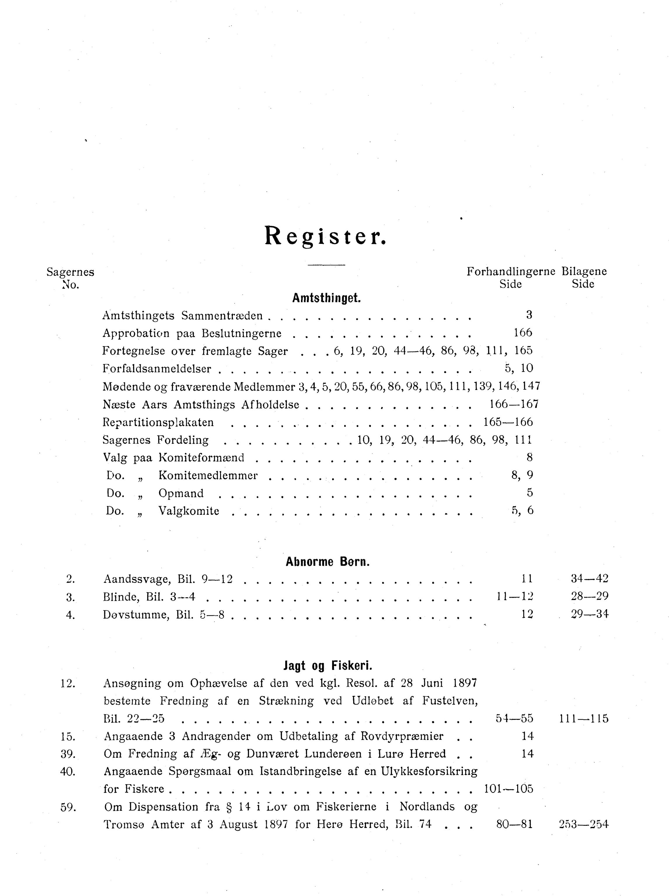 Nordland Fylkeskommune. Fylkestinget, AIN/NFK-17/176/A/Ac/L0029: Fylkestingsforhandlinger 1906, 1906