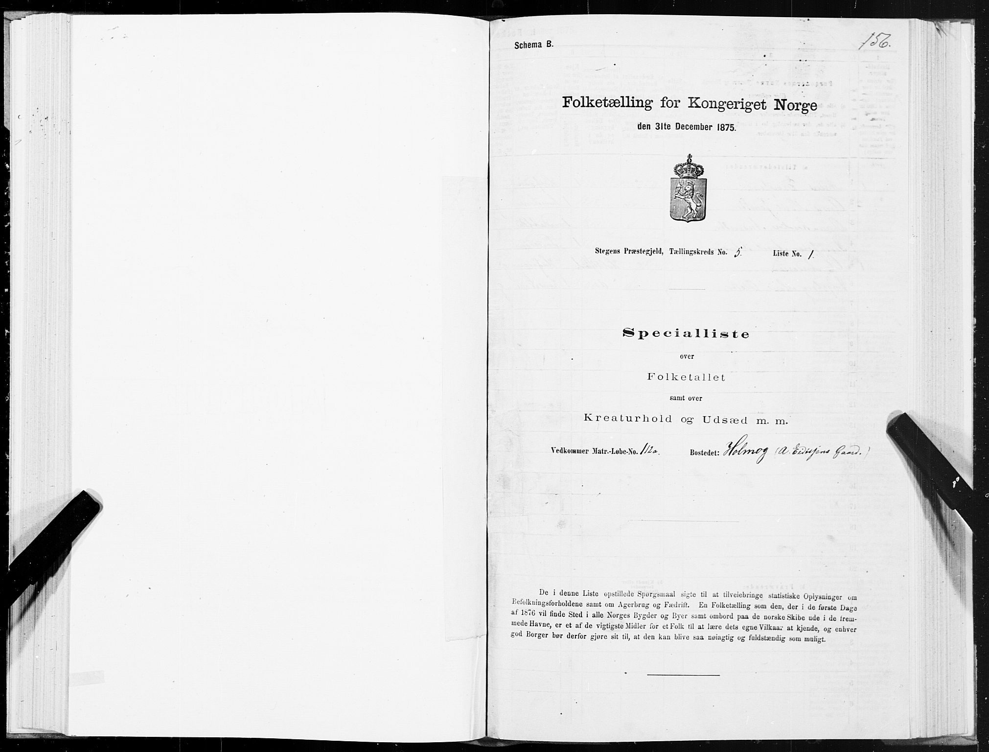 SAT, Folketelling 1875 for 1848P Steigen prestegjeld, 1875, s. 2156