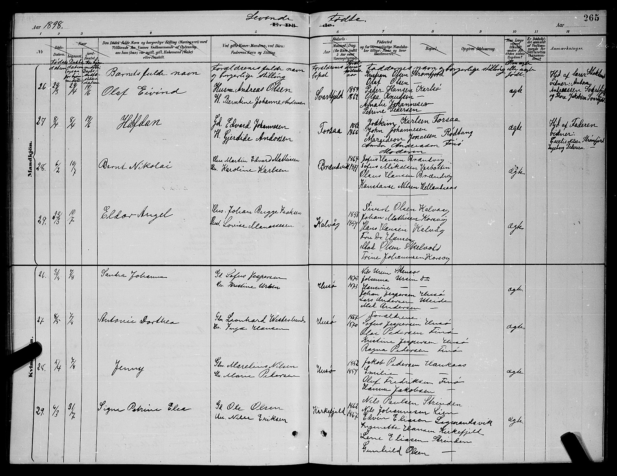 Ministerialprotokoller, klokkerbøker og fødselsregistre - Nordland, AV/SAT-A-1459/859/L0859: Klokkerbok nr. 859C05, 1887-1898, s. 265