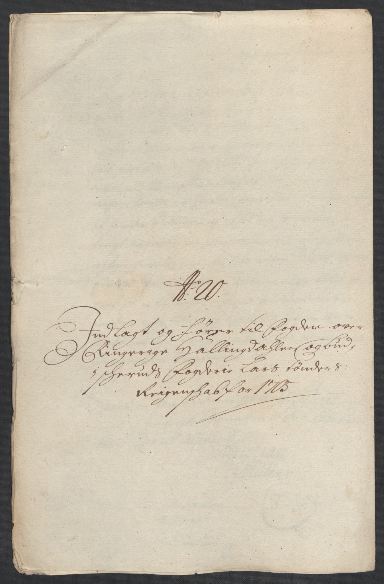 Rentekammeret inntil 1814, Reviderte regnskaper, Fogderegnskap, AV/RA-EA-4092/R22/L1464: Fogderegnskap Ringerike, Hallingdal og Buskerud, 1705, s. 252