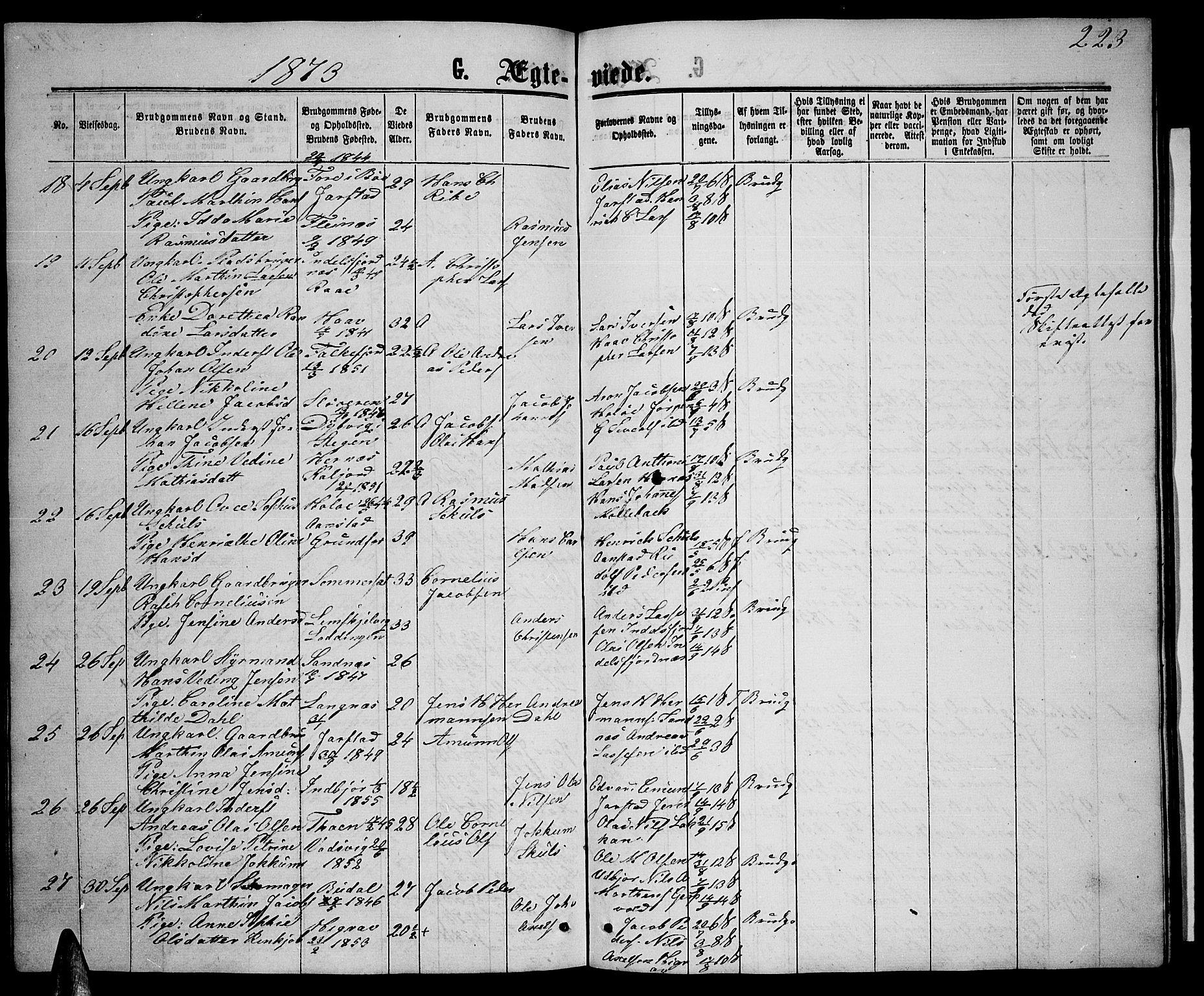 Ministerialprotokoller, klokkerbøker og fødselsregistre - Nordland, AV/SAT-A-1459/888/L1266: Klokkerbok nr. 888C04, 1864-1877, s. 223