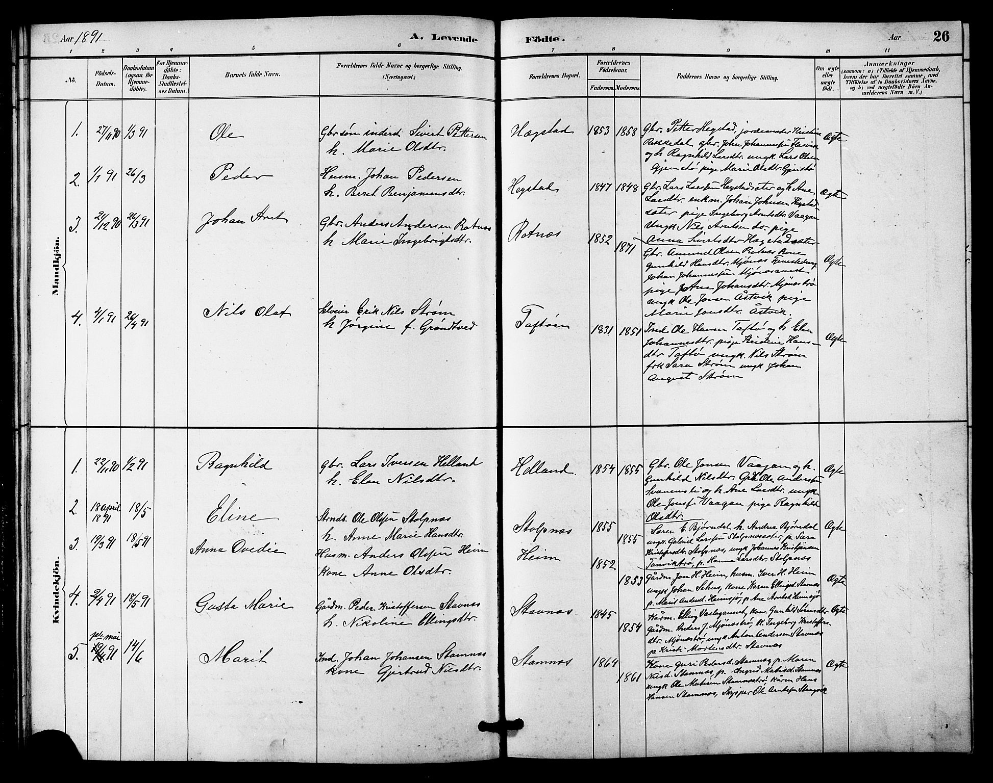 Ministerialprotokoller, klokkerbøker og fødselsregistre - Sør-Trøndelag, AV/SAT-A-1456/633/L0519: Klokkerbok nr. 633C01, 1884-1905, s. 26