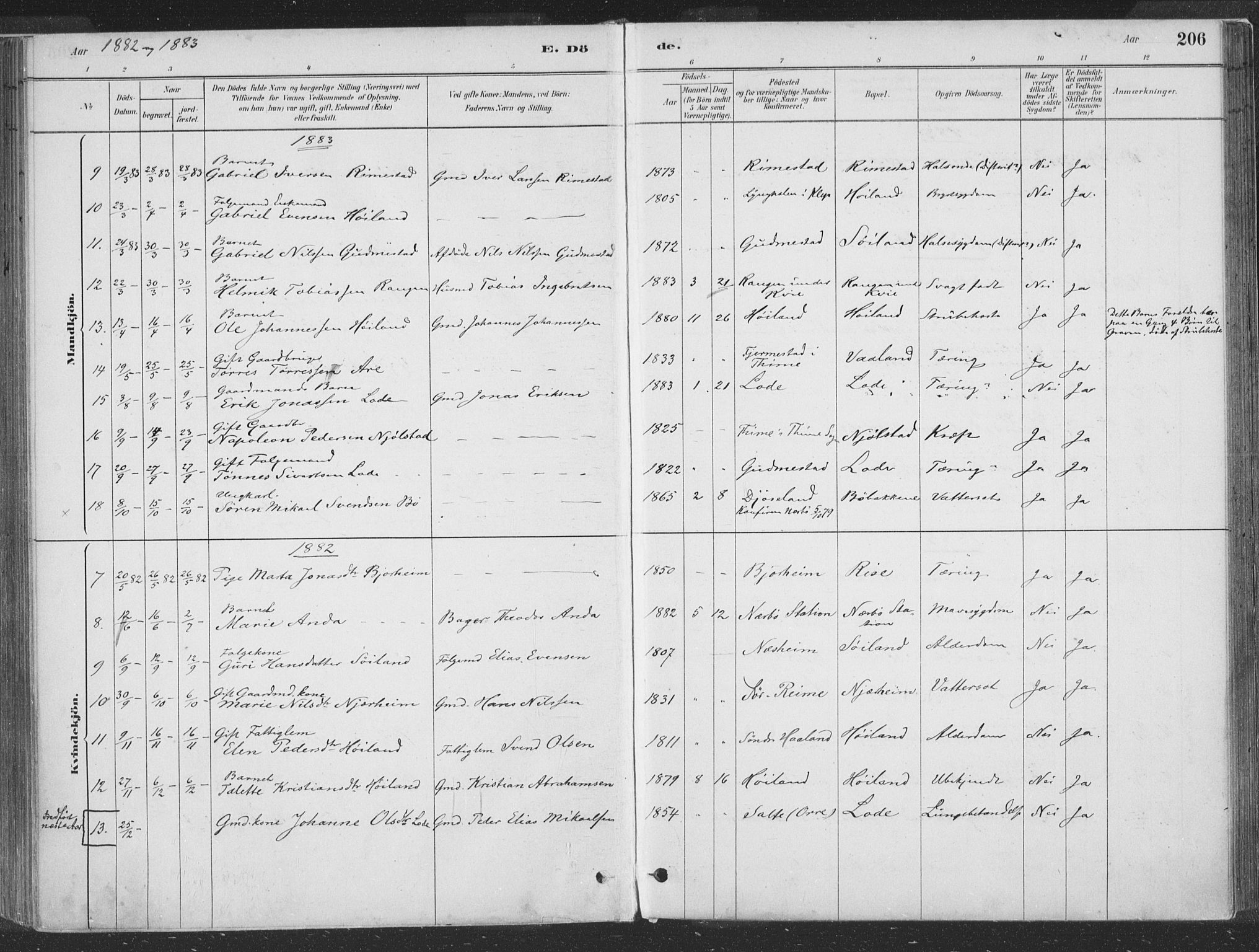 Hå sokneprestkontor, AV/SAST-A-101801/001/30BA/L0010: Ministerialbok nr. A 9, 1879-1896, s. 206