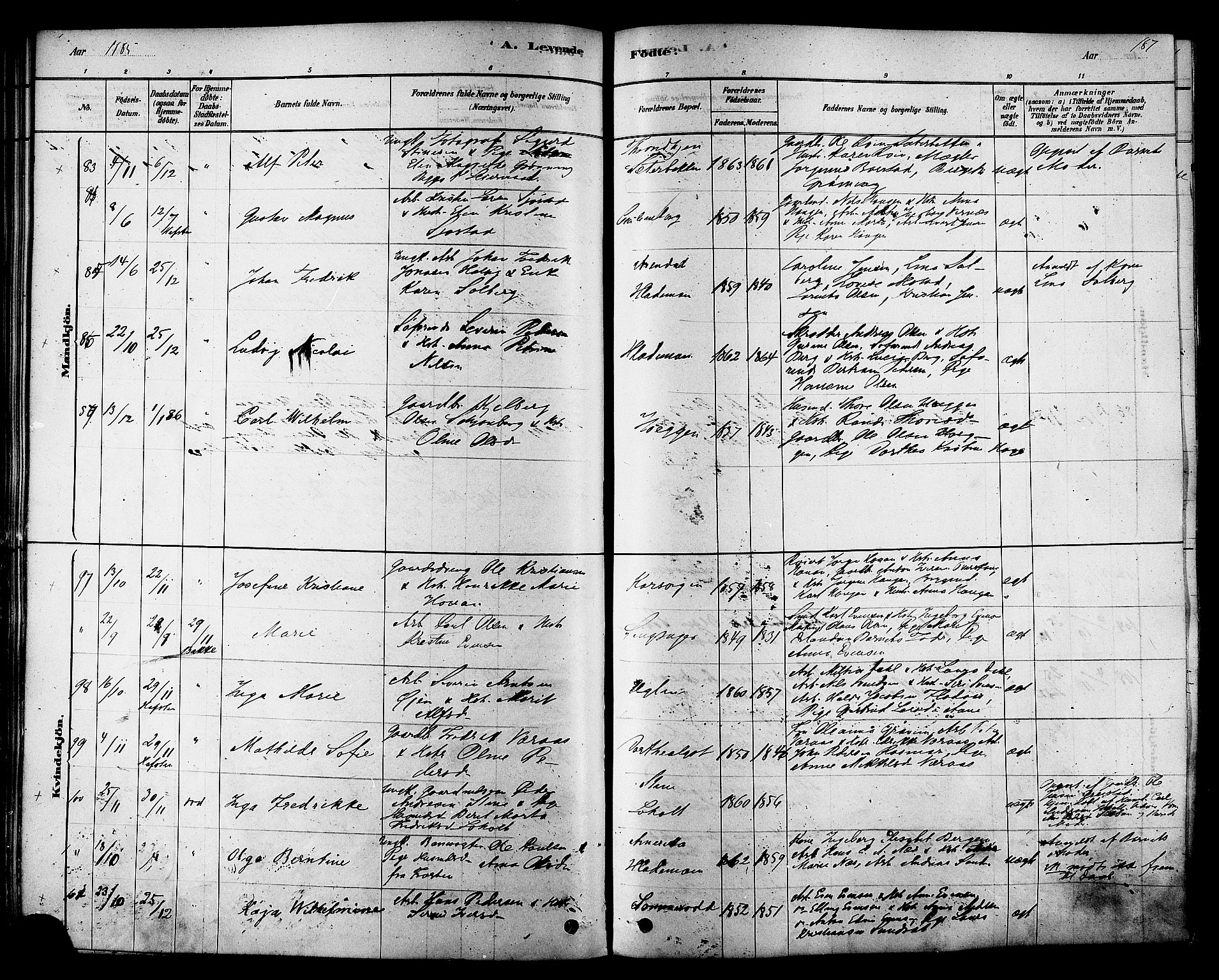 Ministerialprotokoller, klokkerbøker og fødselsregistre - Sør-Trøndelag, SAT/A-1456/606/L0294: Ministerialbok nr. 606A09, 1878-1886, s. 187