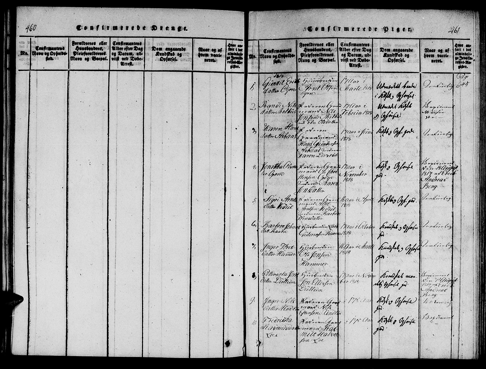 Ministerialprotokoller, klokkerbøker og fødselsregistre - Nord-Trøndelag, AV/SAT-A-1458/714/L0132: Klokkerbok nr. 714C01, 1817-1824, s. 460-461