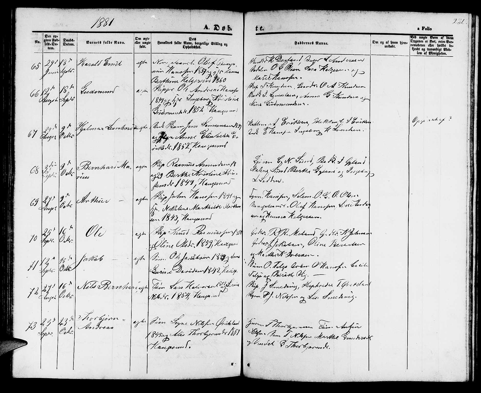 Haugesund sokneprestkontor, AV/SAST-A -101863/H/Ha/Hab/L0001: Klokkerbok nr. B 1, 1873-1881, s. 231