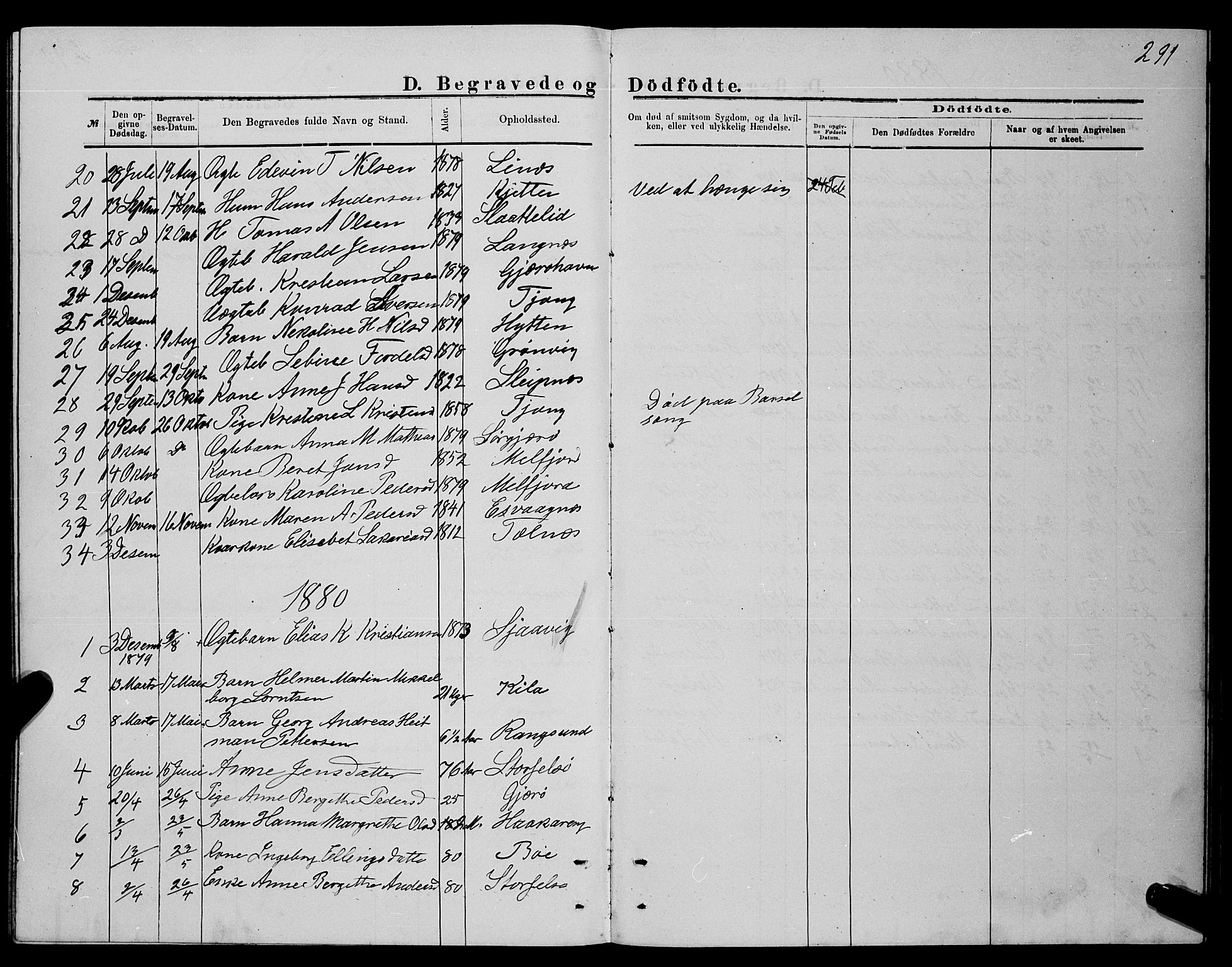 Ministerialprotokoller, klokkerbøker og fødselsregistre - Nordland, AV/SAT-A-1459/841/L0620: Klokkerbok nr. 841C04, 1877-1896, s. 291