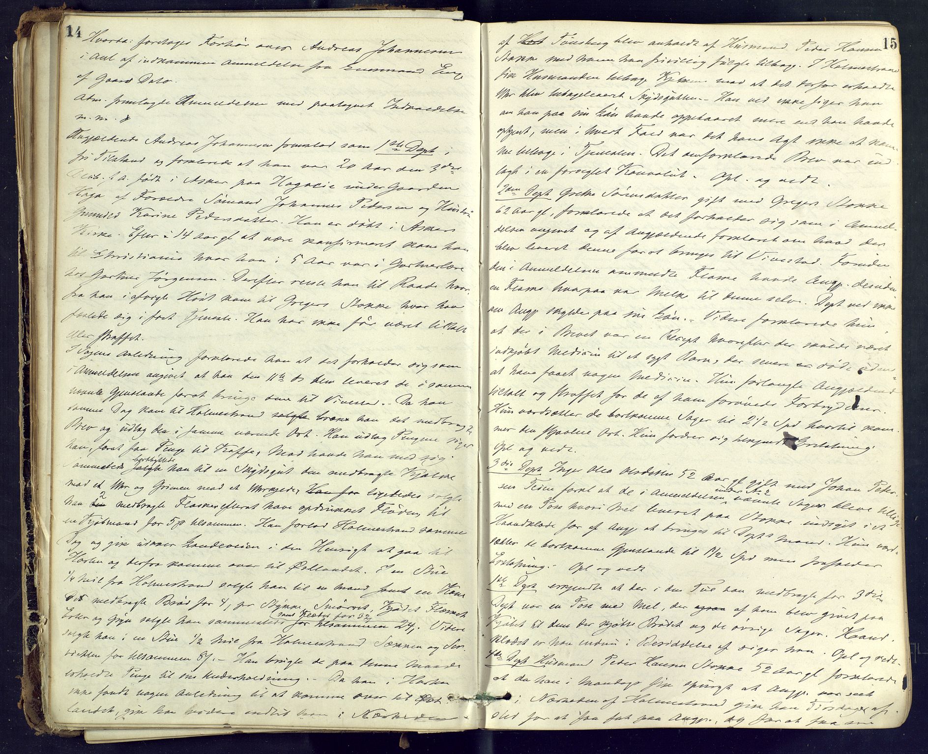 Nordre Jarlsberg sorenskriveri, AV/SAKO-A-80/F/Fb/Fba/L0021: Ekstrarettsprotokoll, 1875-1883, s. 14-15