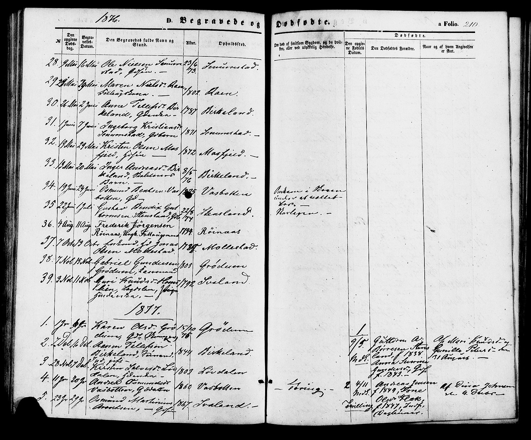 Birkenes sokneprestkontor, SAK/1111-0004/F/Fa/L0004: Ministerialbok nr. A 4, 1867-1886, s. 210