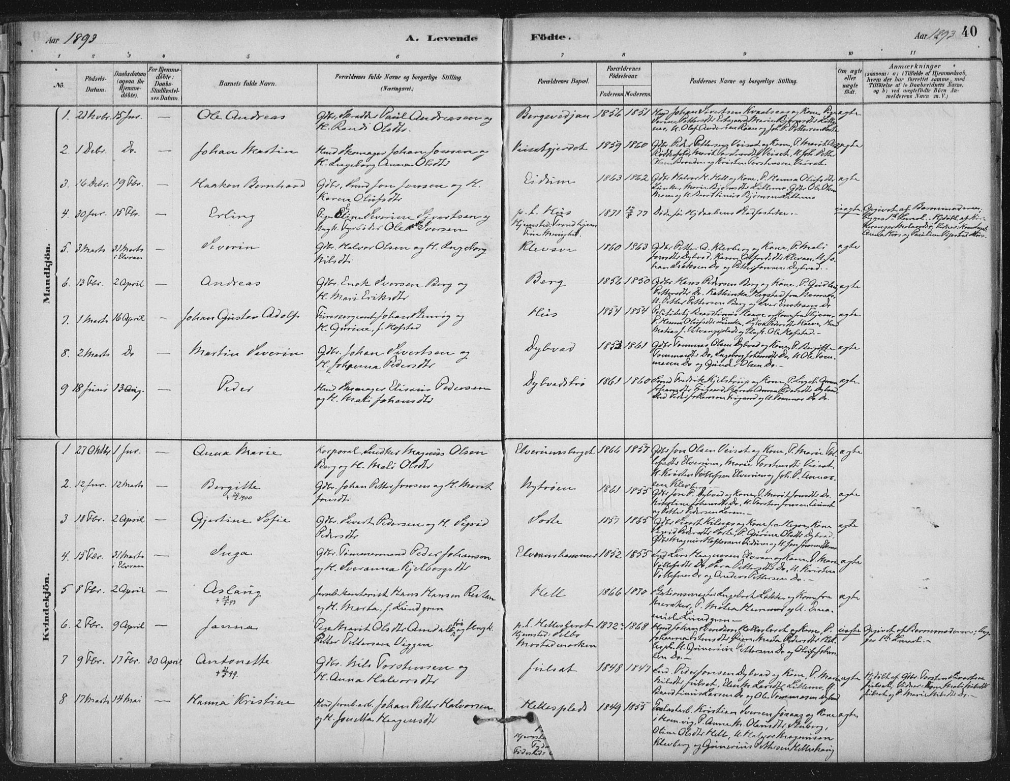 Ministerialprotokoller, klokkerbøker og fødselsregistre - Nord-Trøndelag, SAT/A-1458/710/L0095: Ministerialbok nr. 710A01, 1880-1914, s. 40
