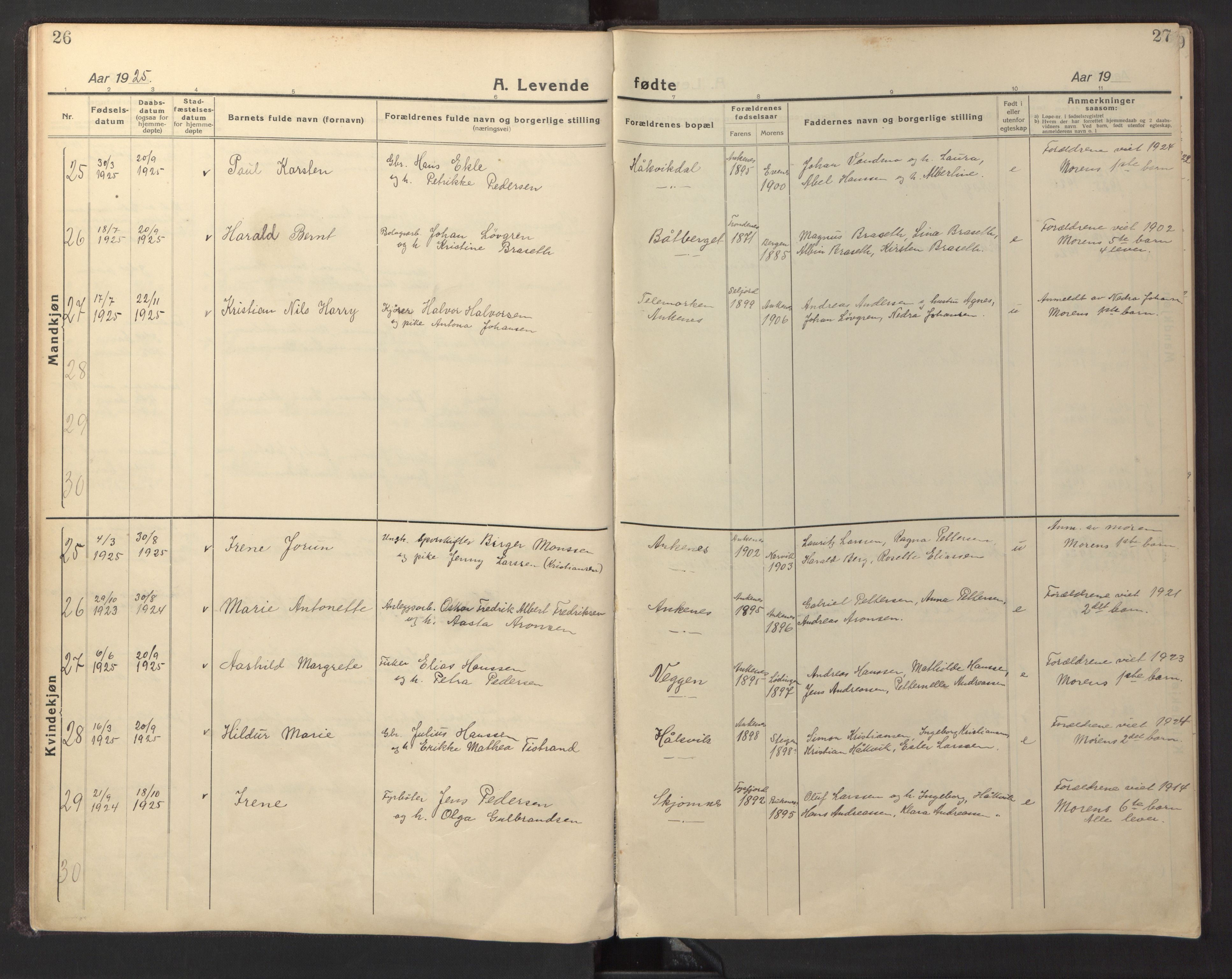 Ministerialprotokoller, klokkerbøker og fødselsregistre - Nordland, AV/SAT-A-1459/866/L0960: Klokkerbok nr. 866C09, 1924-1947, s. 26-27