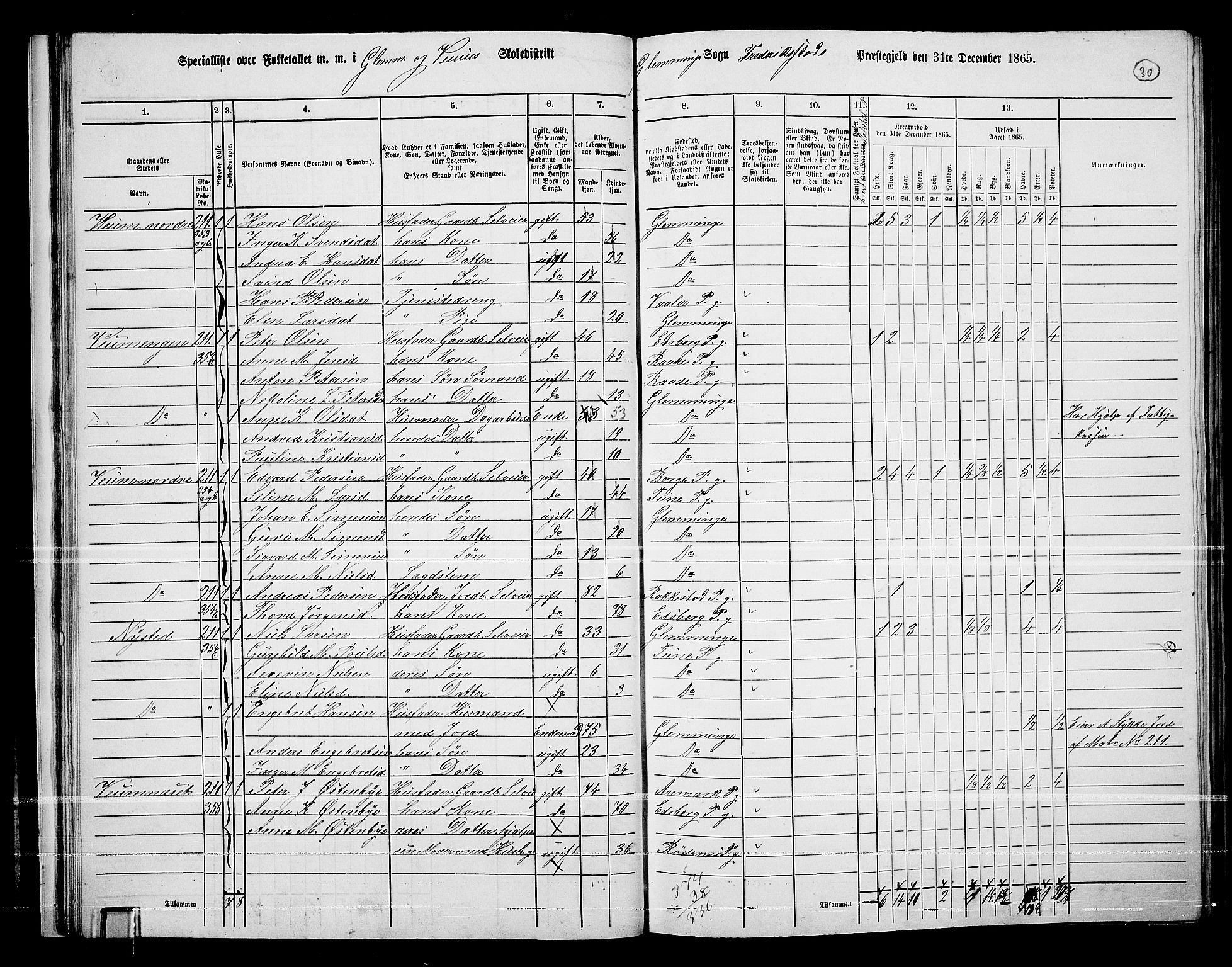 RA, Folketelling 1865 for 0132L Fredrikstad prestegjeld, Glemmen sokn, 1865, s. 32