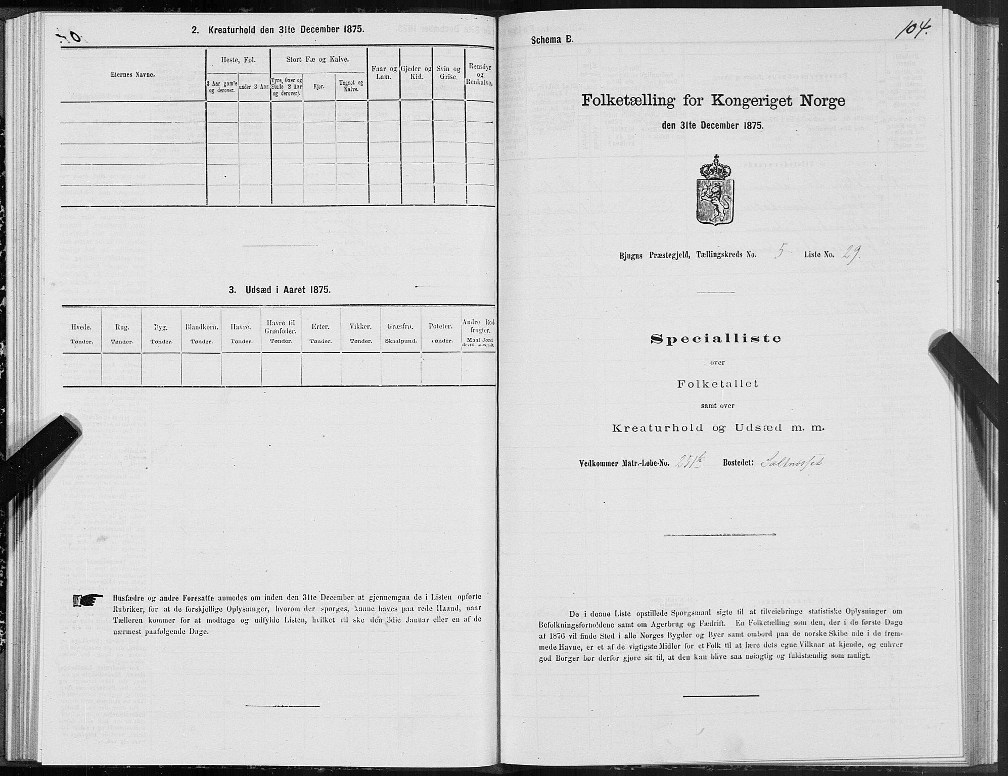 SAT, Folketelling 1875 for 1627P Bjugn prestegjeld, 1875, s. 3104