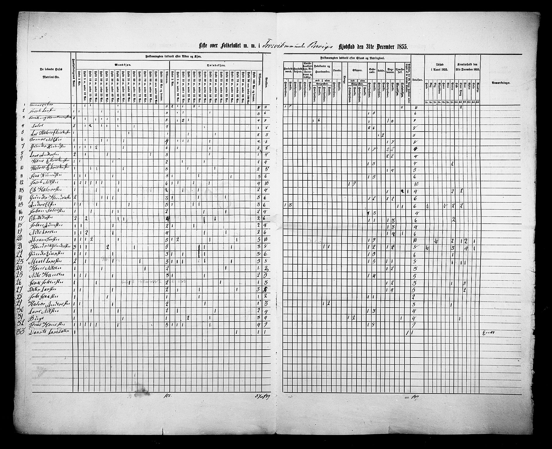 , Folketelling 1855 for 0804 Eidanger prestegjeld, Brevik kjøpstad, 1855, s. 13