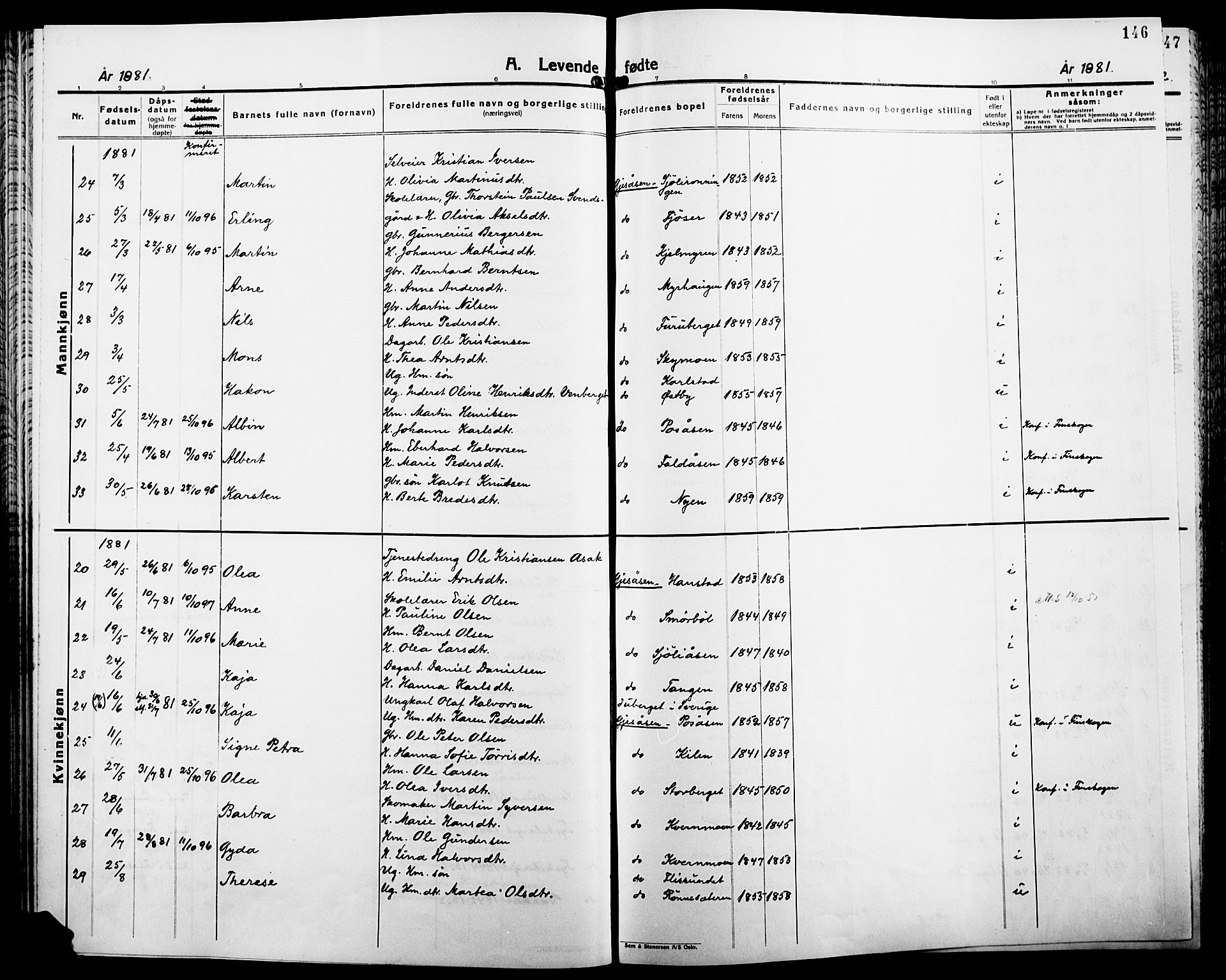 Åsnes prestekontor, AV/SAH-PREST-042/H/Ha/Haa/L0000B: Ministerialbok, 1870-1889, s. 146