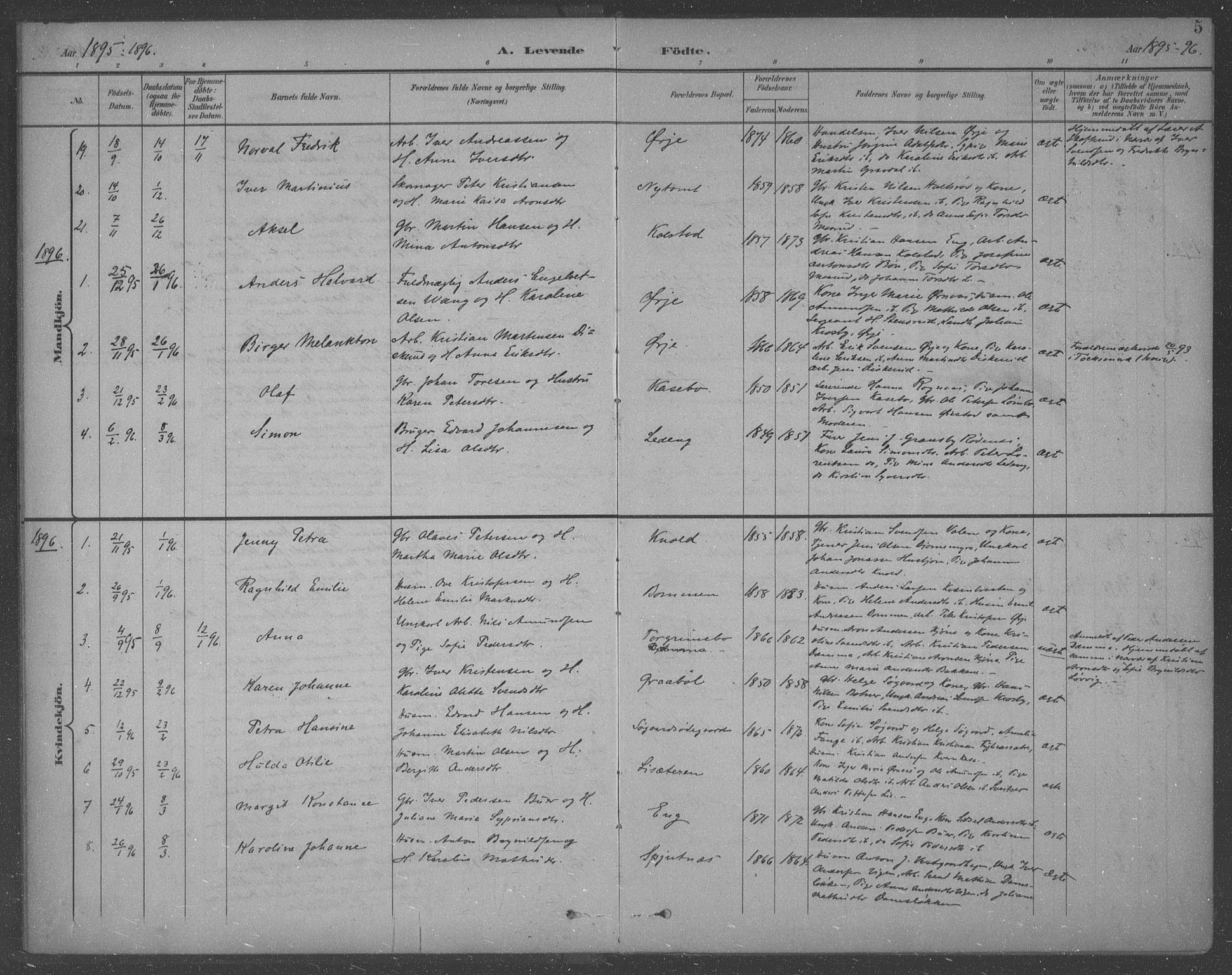 Aremark prestekontor Kirkebøker, AV/SAO-A-10899/F/Fb/L0005: Ministerialbok nr. II 5, 1895-1919, s. 5
