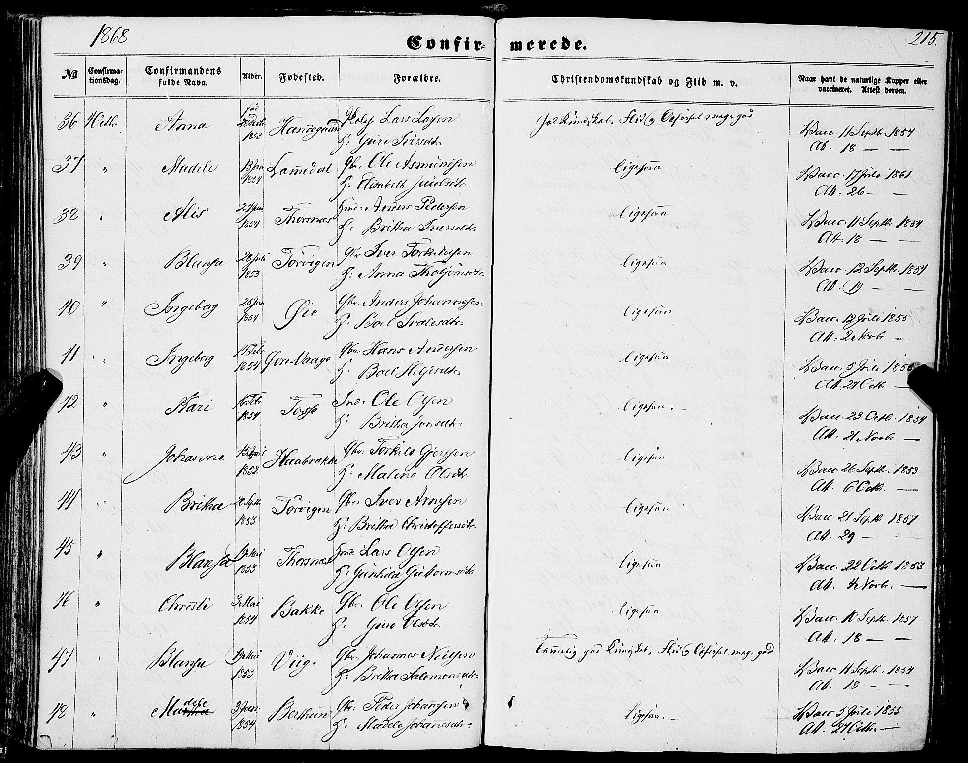 Strandebarm sokneprestembete, AV/SAB-A-78401/H/Haa: Ministerialbok nr. A 8, 1858-1872, s. 215
