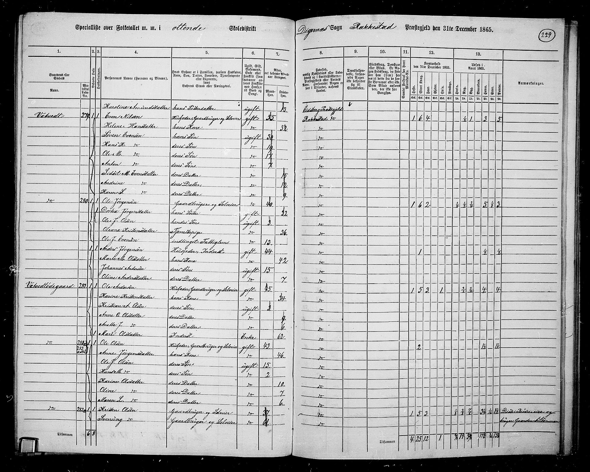 RA, Folketelling 1865 for 0128P Rakkestad prestegjeld, 1865, s. 220