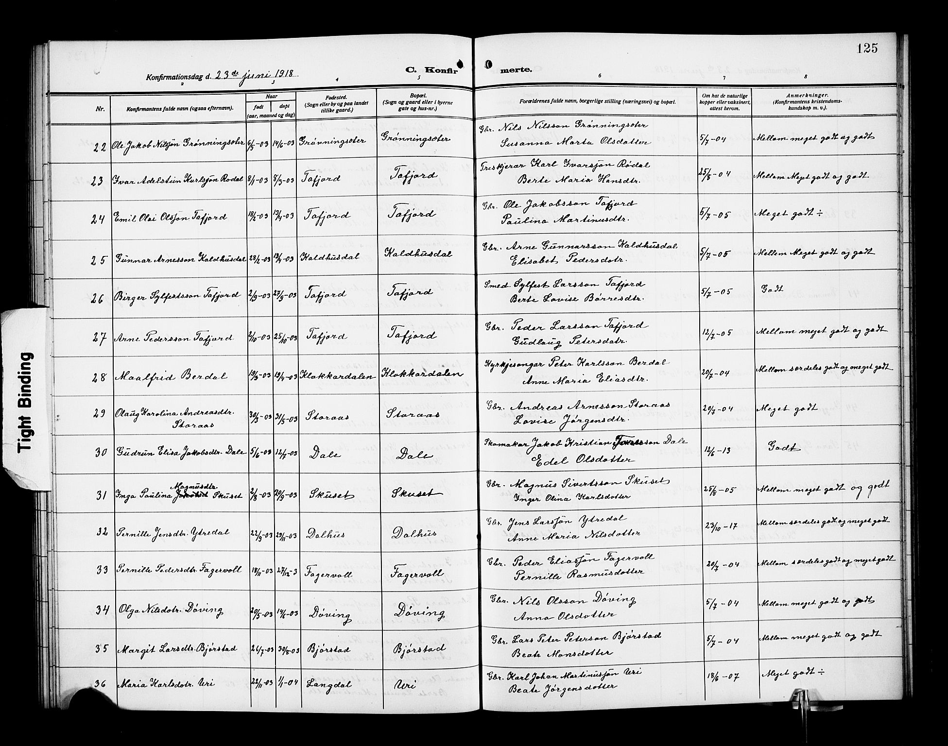 Ministerialprotokoller, klokkerbøker og fødselsregistre - Møre og Romsdal, AV/SAT-A-1454/519/L0265: Klokkerbok nr. 519C06, 1911-1921, s. 125