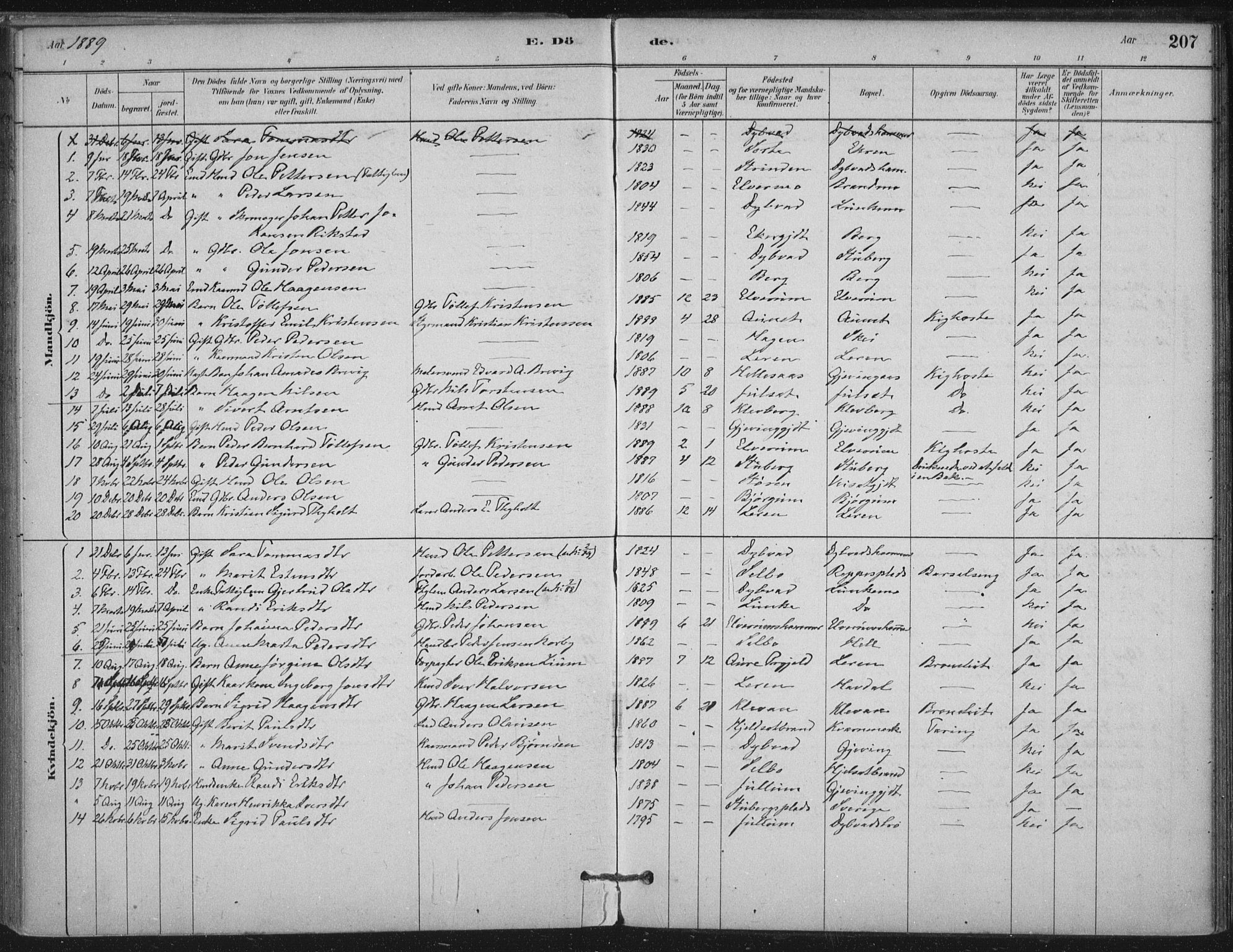 Ministerialprotokoller, klokkerbøker og fødselsregistre - Nord-Trøndelag, AV/SAT-A-1458/710/L0095: Ministerialbok nr. 710A01, 1880-1914, s. 207