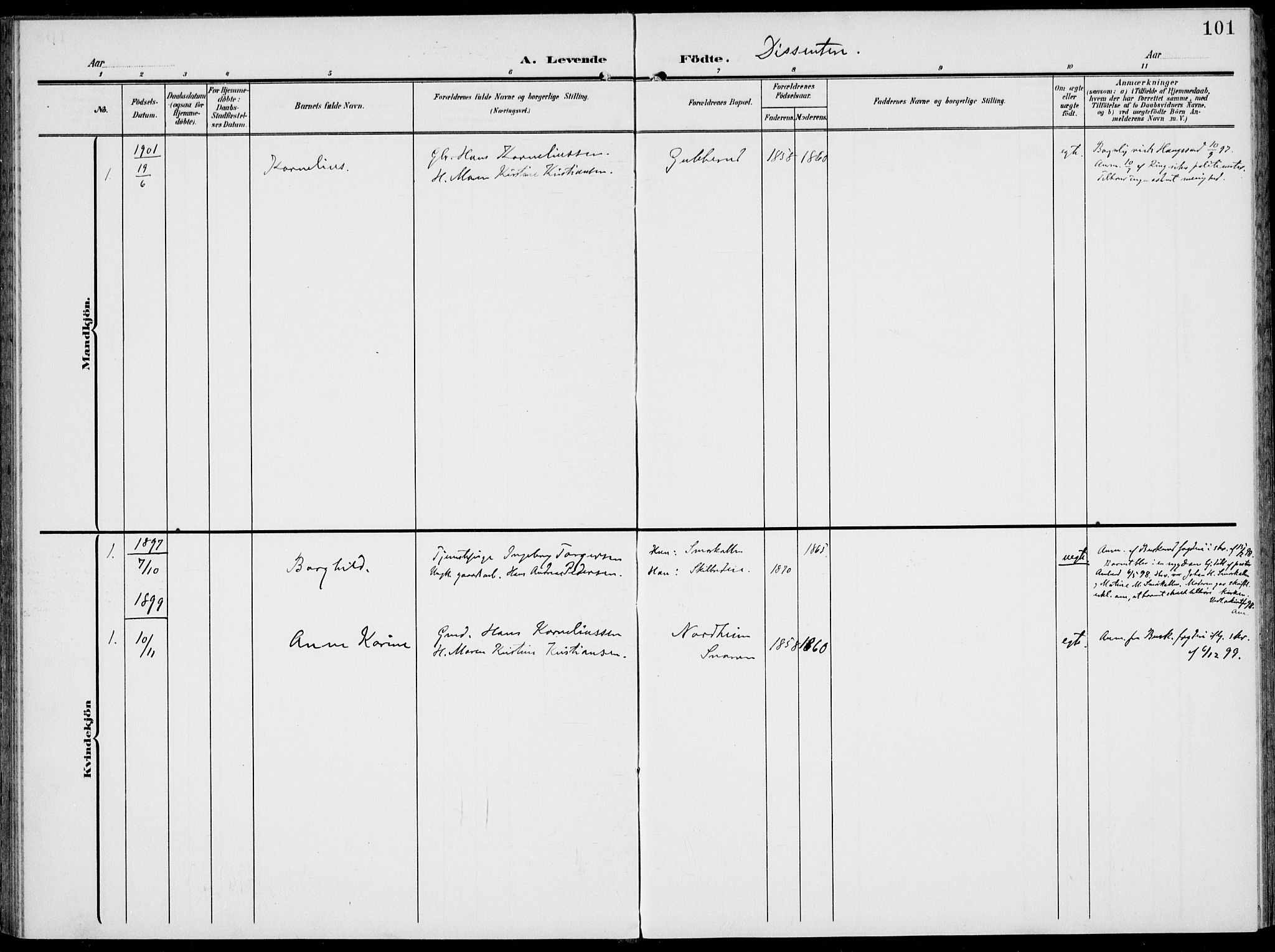 Modum kirkebøker, SAKO/A-234/F/Fa/L0019: Ministerialbok nr. 19, 1890-1914, s. 101