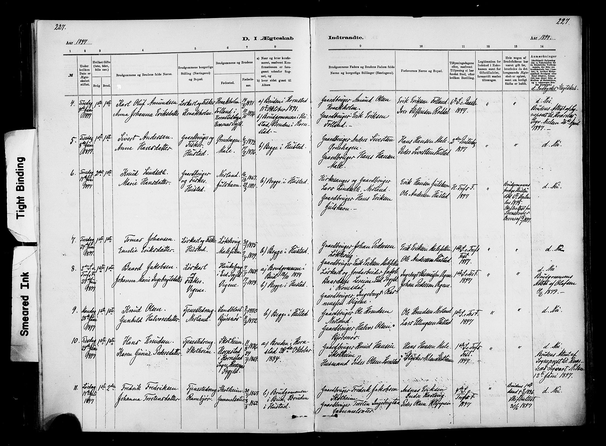 Ministerialprotokoller, klokkerbøker og fødselsregistre - Møre og Romsdal, AV/SAT-A-1454/567/L0778: Ministerialbok nr. 567A01, 1881-1903, s. 227