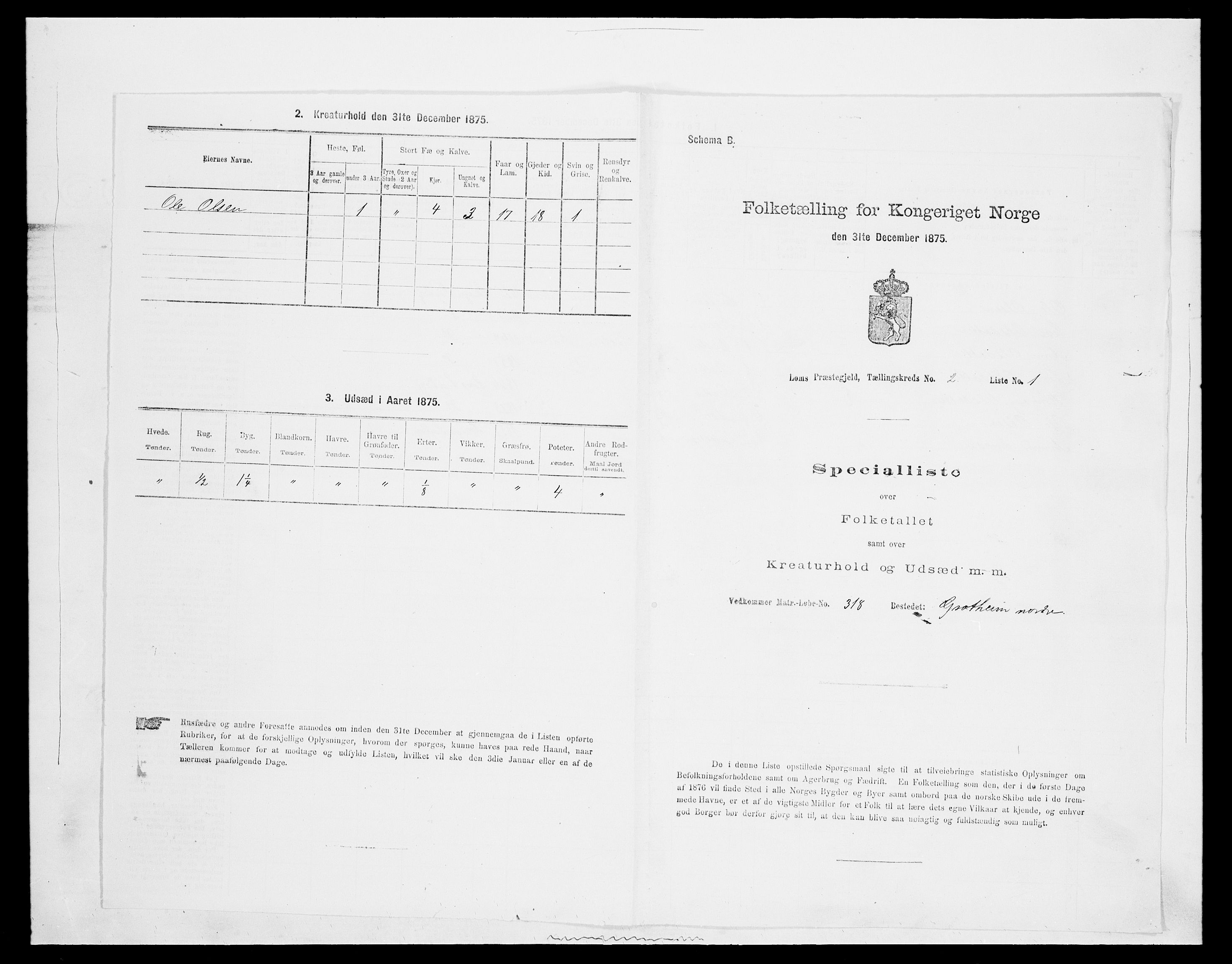 SAH, Folketelling 1875 for 0514P Lom prestegjeld, 1875, s. 258