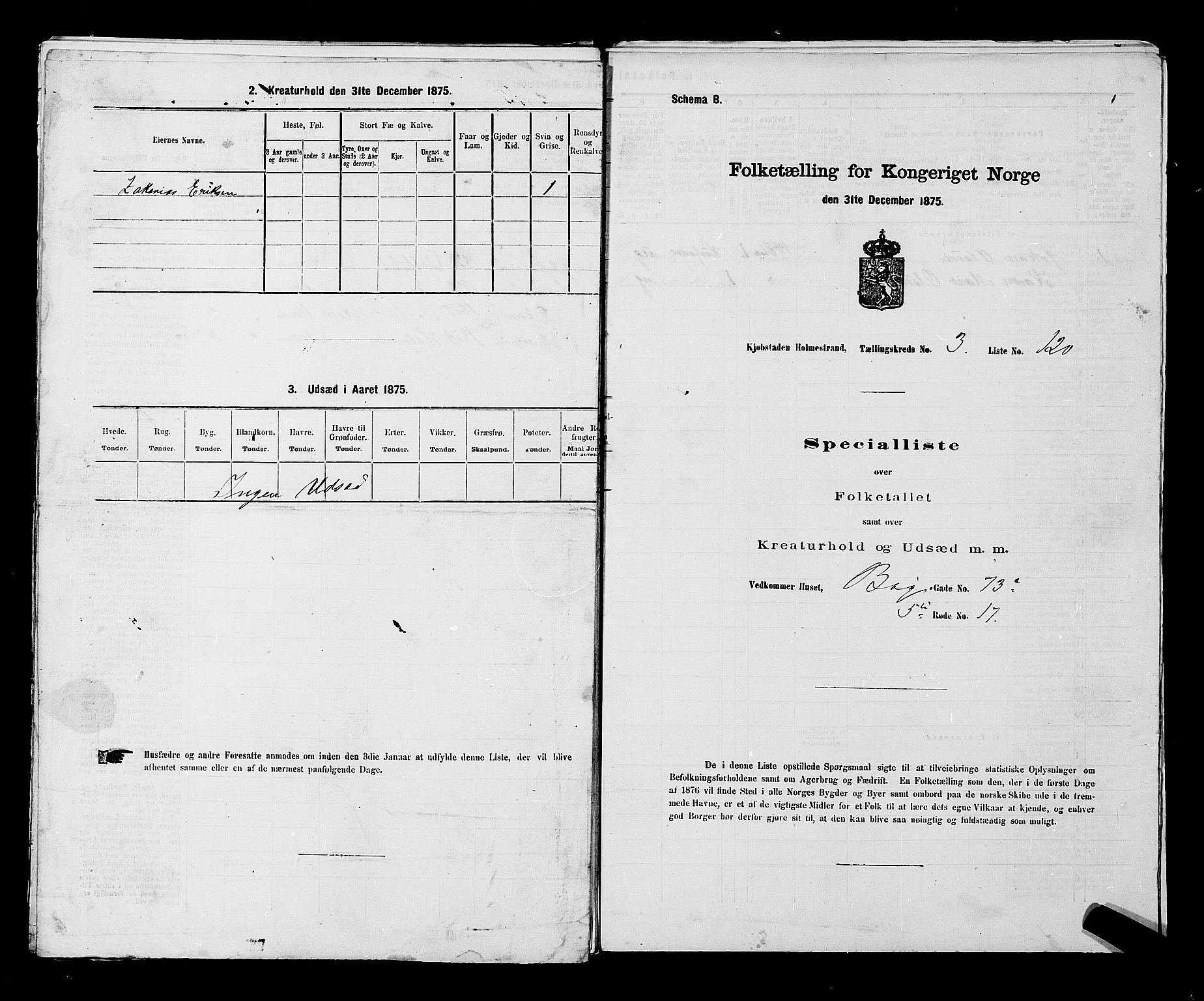 SAKO, Folketelling 1875 for 0702P Holmestrand prestegjeld, 1875, s. 332
