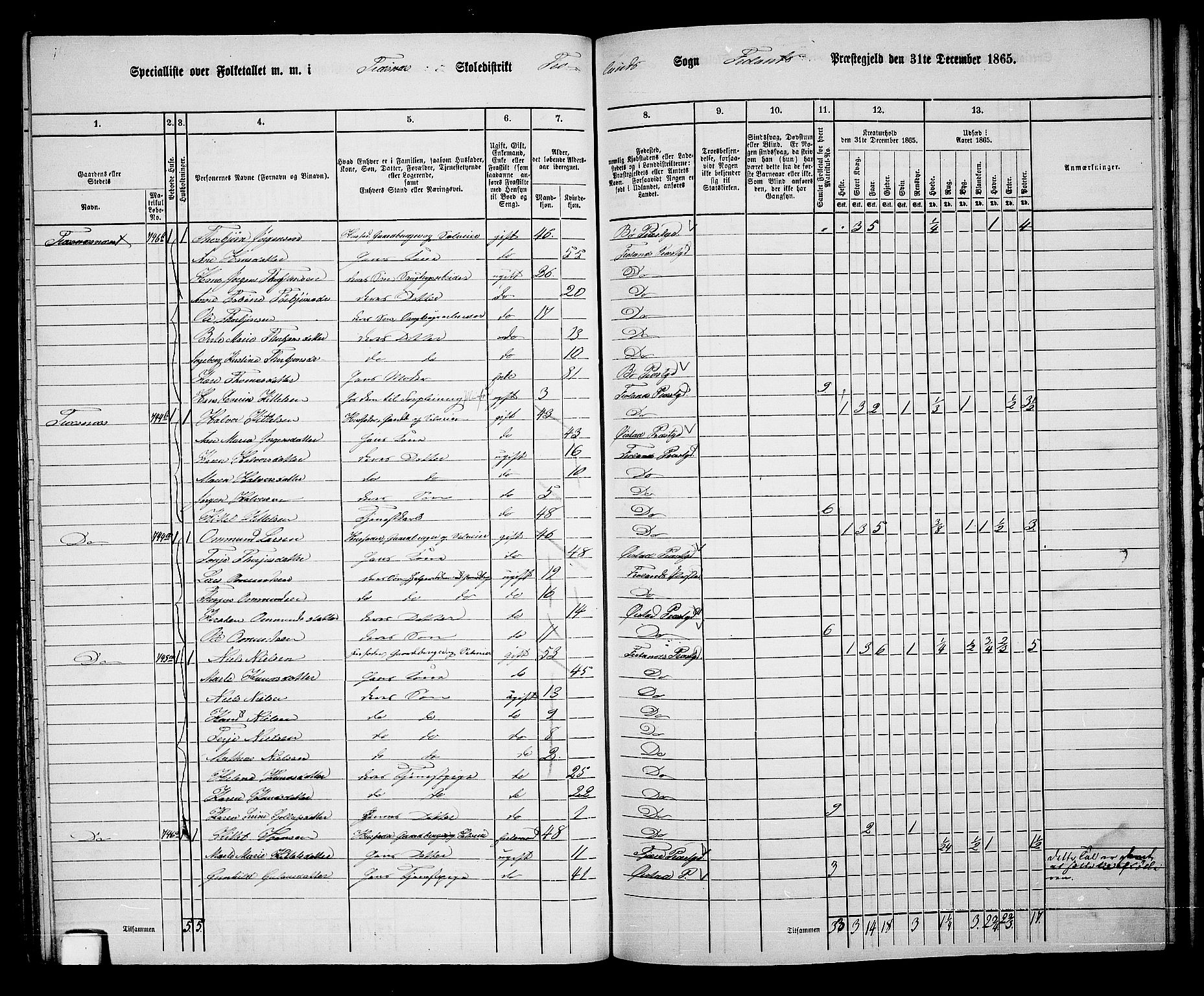 RA, Folketelling 1865 for 0919P Froland prestegjeld, 1865, s. 52