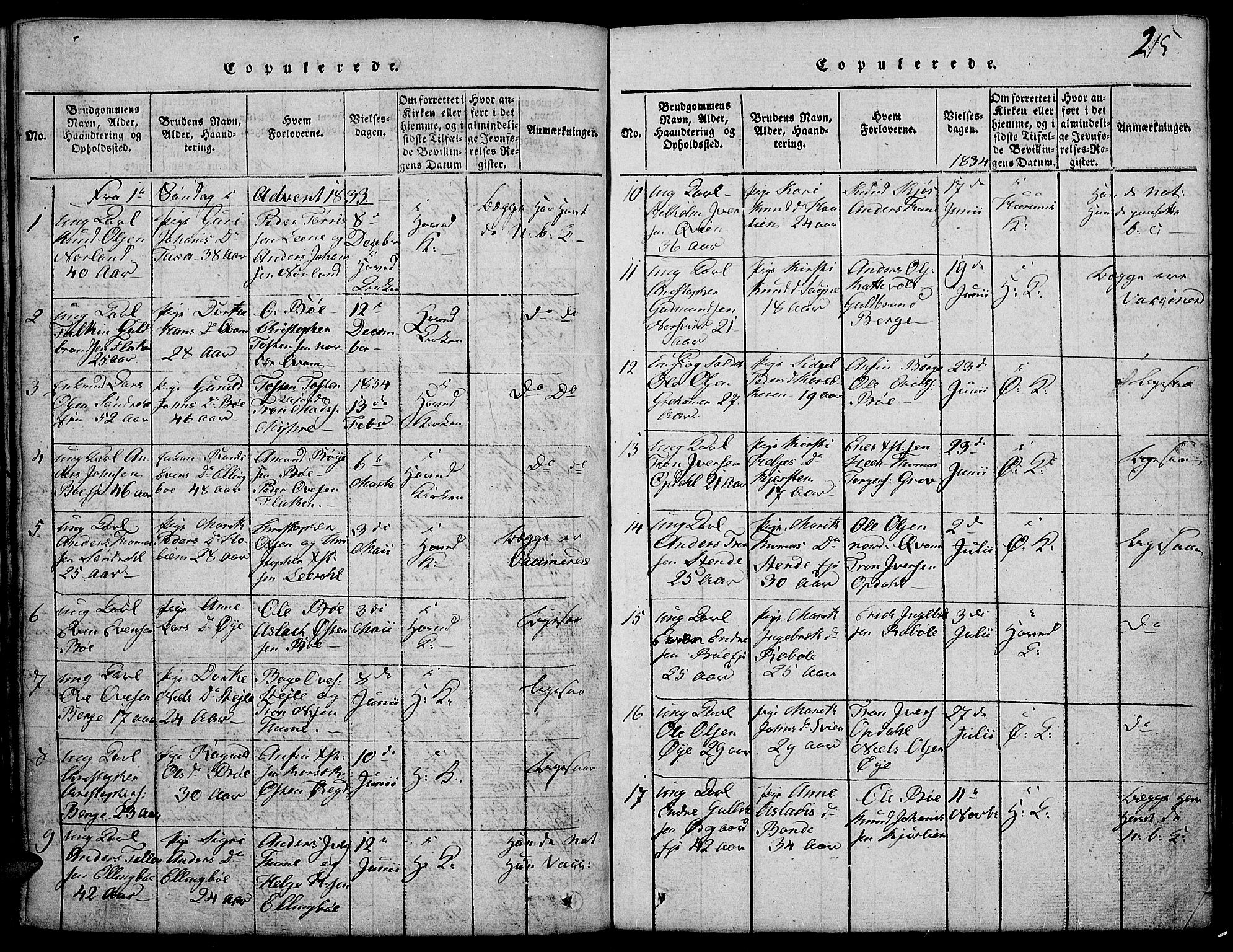 Vang prestekontor, Valdres, AV/SAH-PREST-140/H/Hb/L0002: Klokkerbok nr. 2, 1814-1889, s. 215