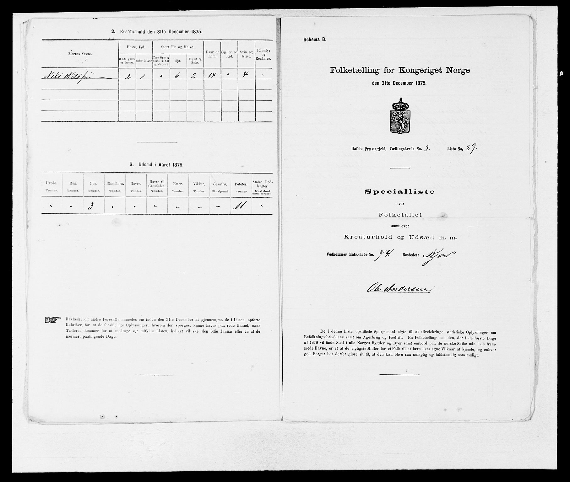 SAB, Folketelling 1875 for 1425P Hafslo prestegjeld, 1875, s. 450