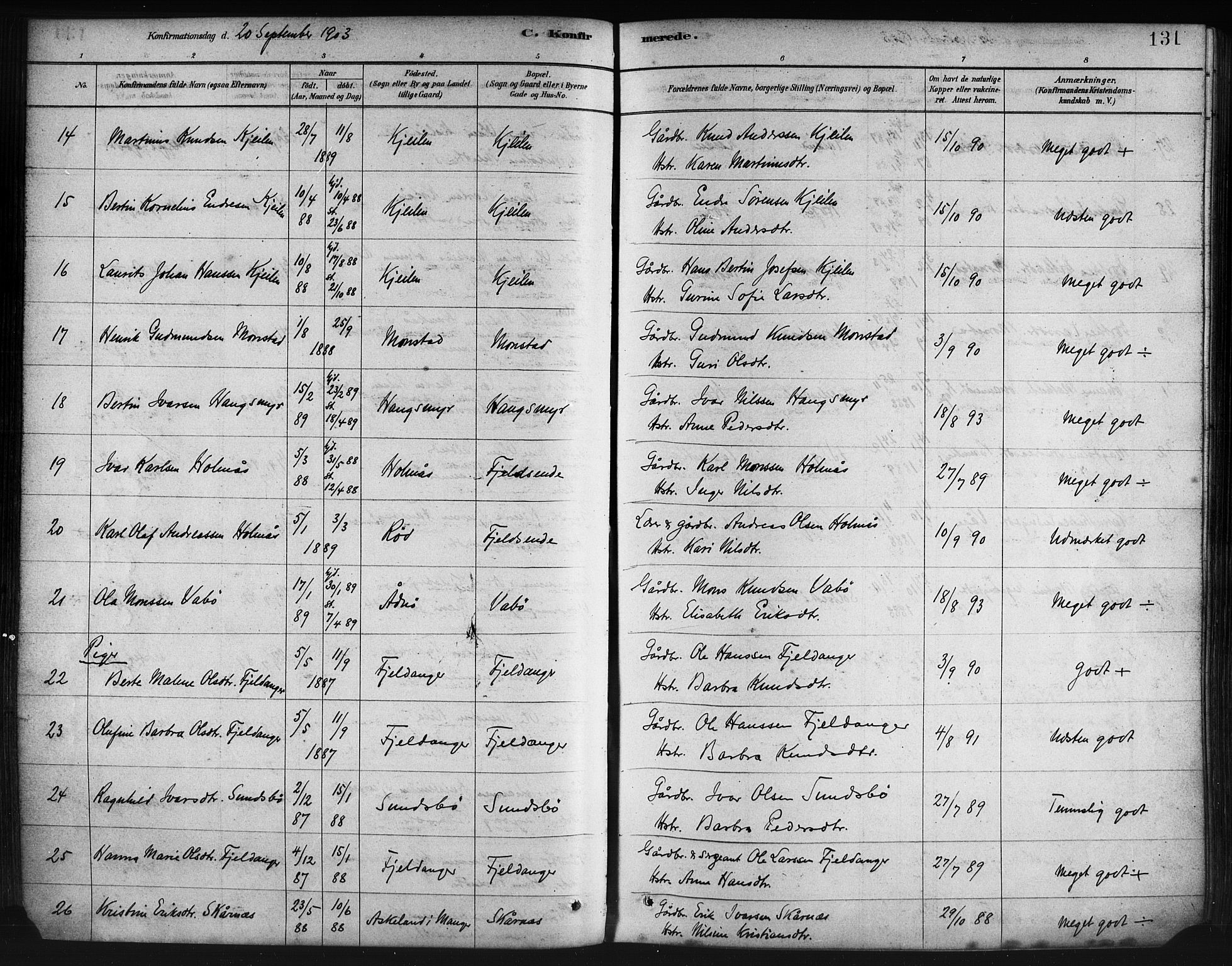Lindås Sokneprestembete, AV/SAB-A-76701/H/Haa/Haaa/L0019: Ministerialbok nr. A 19, 1878-1912, s. 131