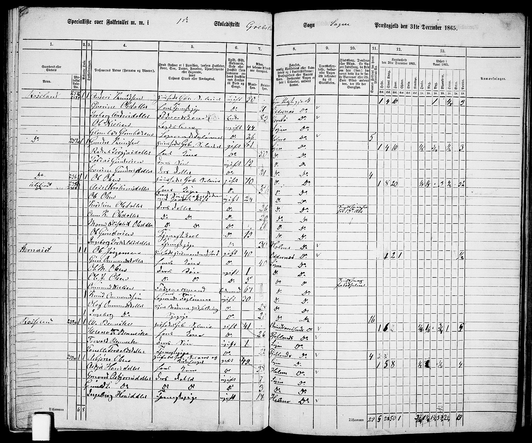 RA, Folketelling 1865 for 1018P Søgne prestegjeld, 1865, s. 125