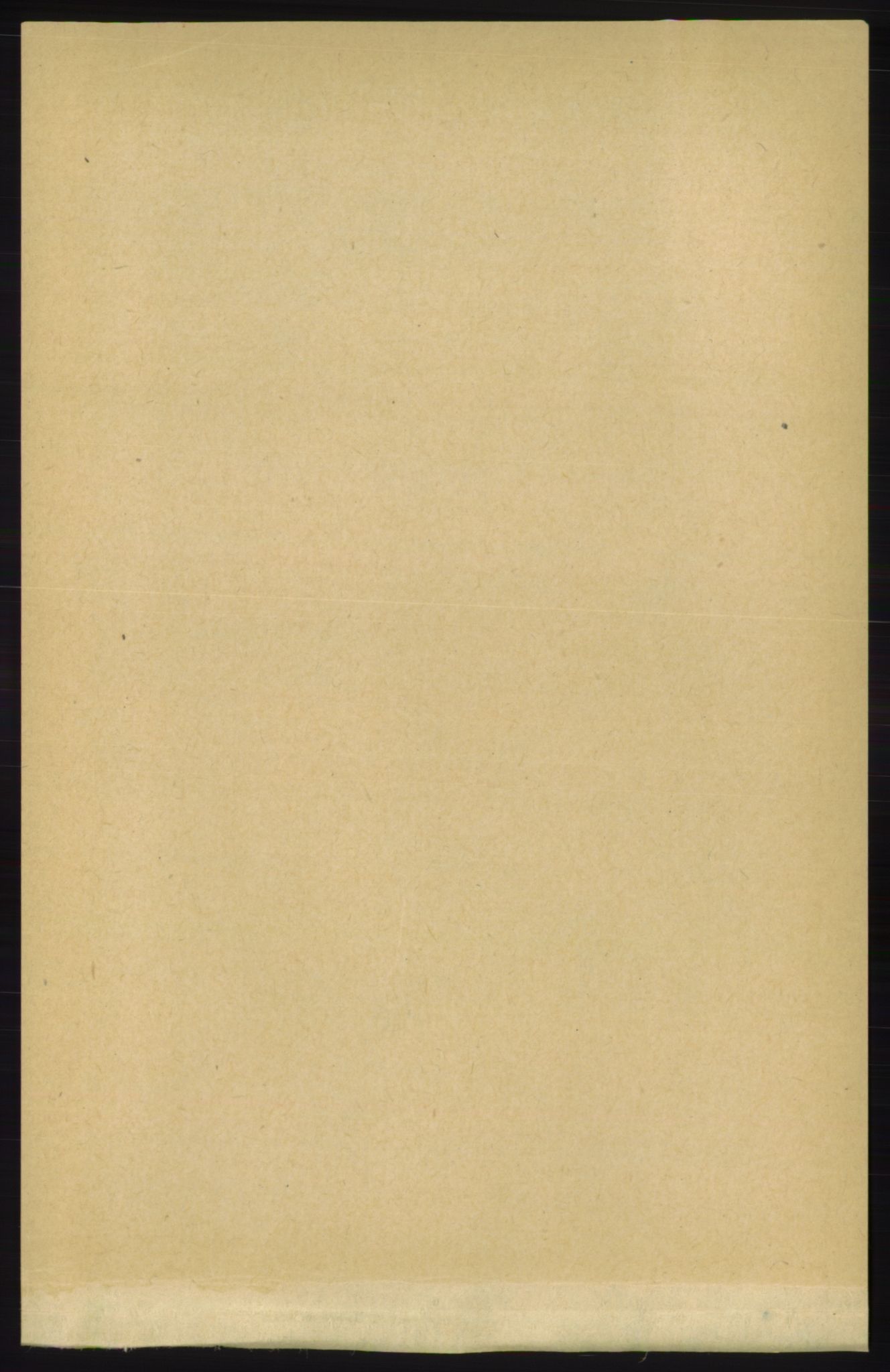 RA, Folketelling 1891 for 1154 Skjold herred, 1891, s. 1008