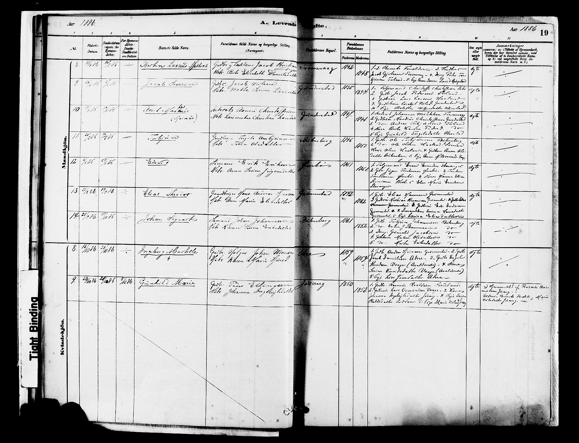 Tysvær sokneprestkontor, SAST/A -101864/H/Ha/Haa/L0007: Ministerialbok nr. A 7, 1878-1897, s. 19