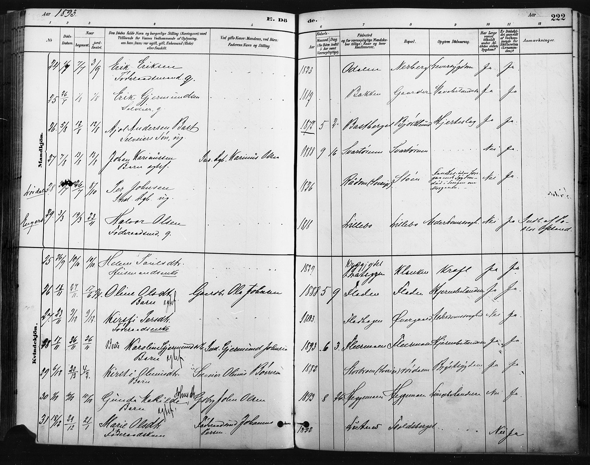 Trysil prestekontor, AV/SAH-PREST-046/H/Ha/Haa/L0009: Ministerialbok nr. 9, 1881-1897, s. 222