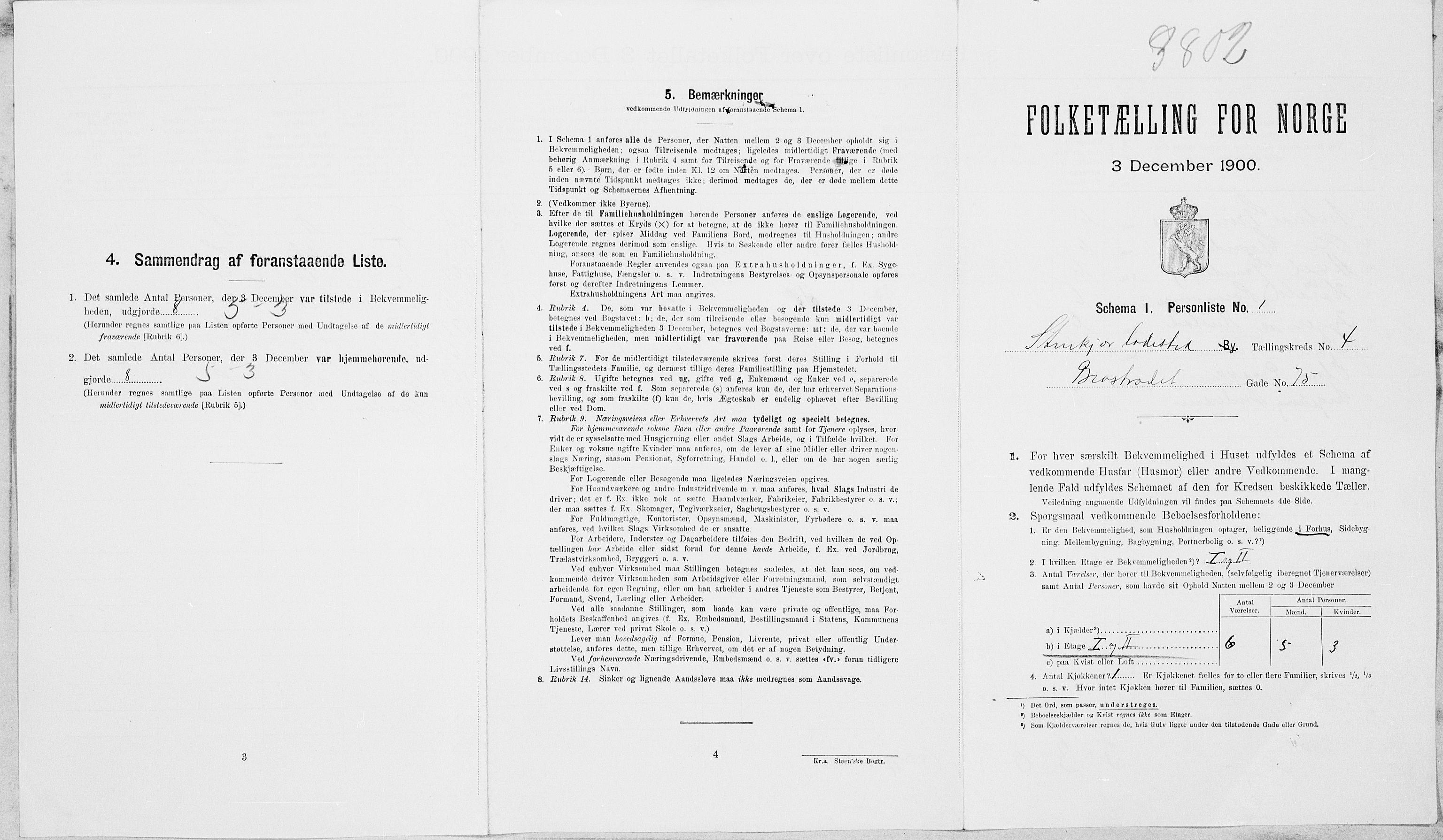 SAT, Folketelling 1900 for 1702 Steinkjer ladested, 1900, s. 505