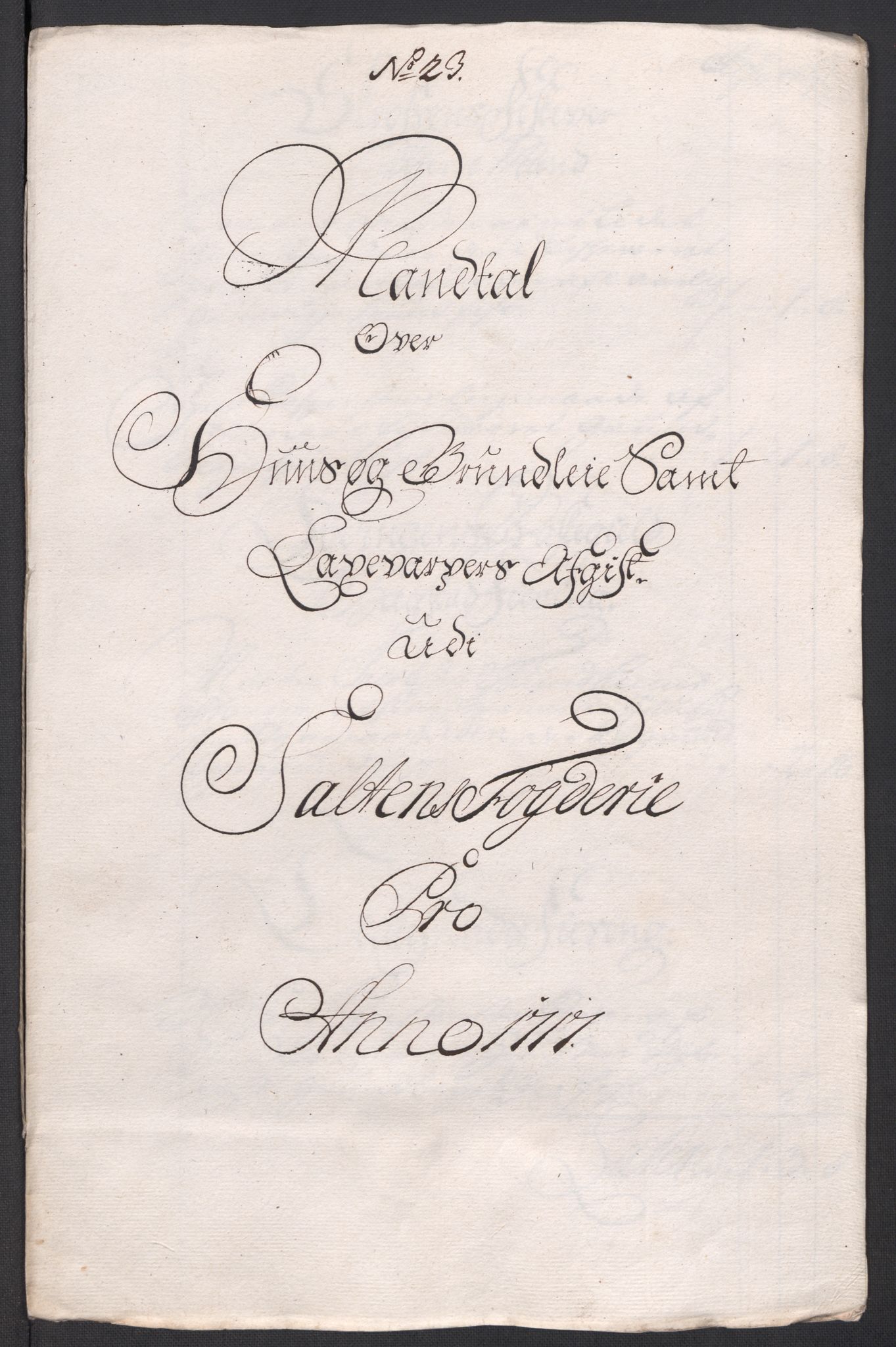 Rentekammeret inntil 1814, Reviderte regnskaper, Fogderegnskap, RA/EA-4092/R66/L4587: Fogderegnskap Salten, 1717, s. 261