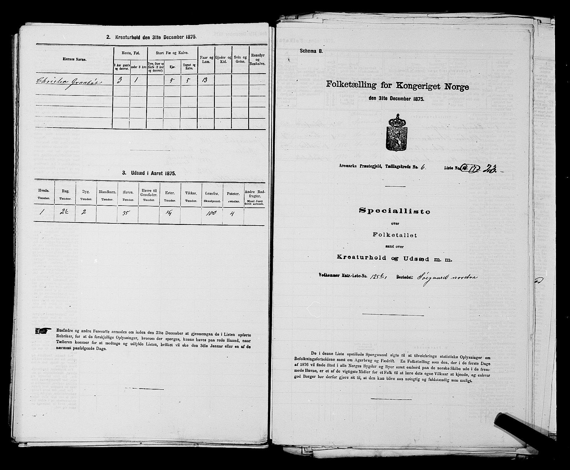 RA, Folketelling 1875 for 0118P Aremark prestegjeld, 1875, s. 862