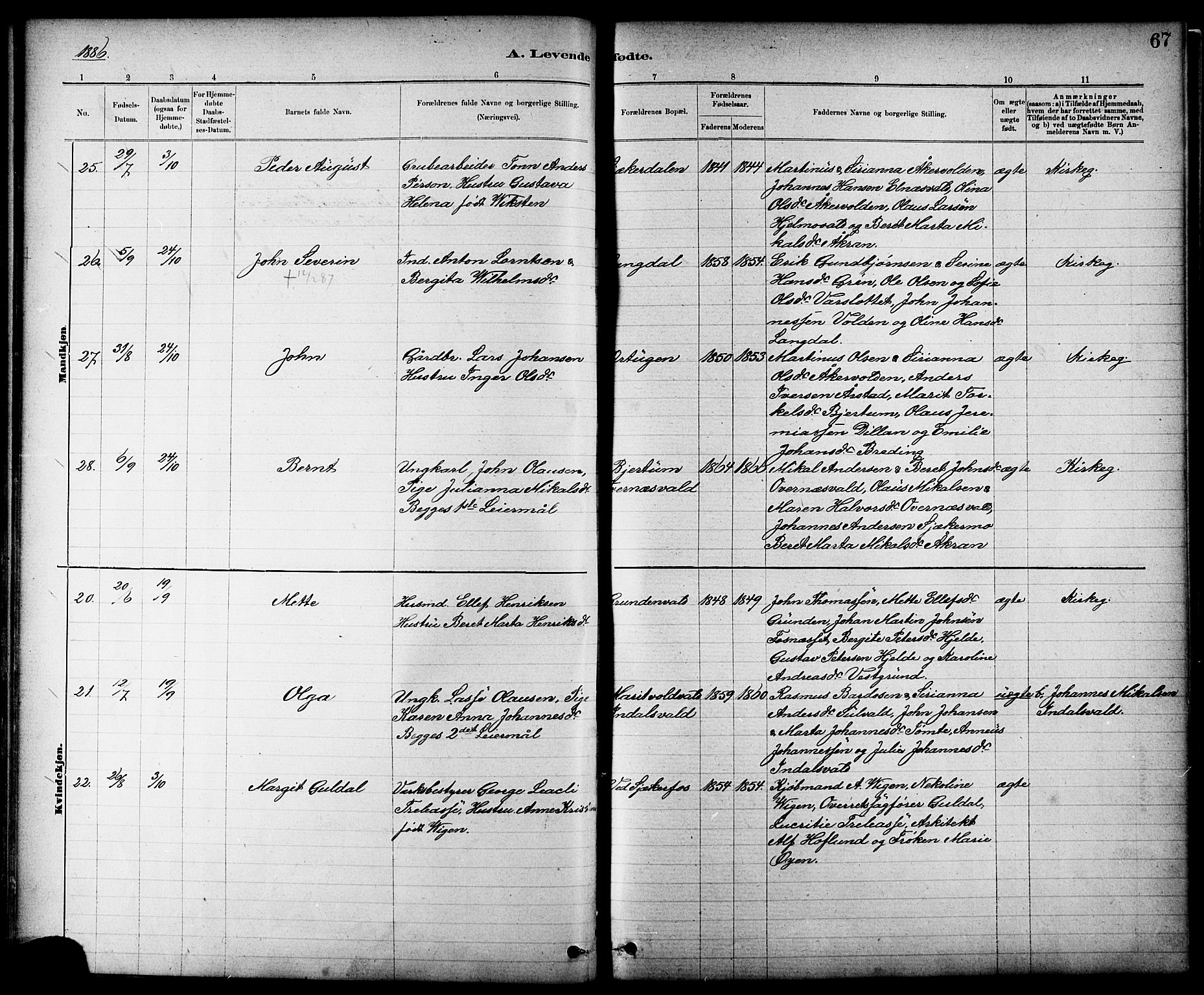 Ministerialprotokoller, klokkerbøker og fødselsregistre - Nord-Trøndelag, AV/SAT-A-1458/724/L0267: Klokkerbok nr. 724C03, 1879-1898, s. 67