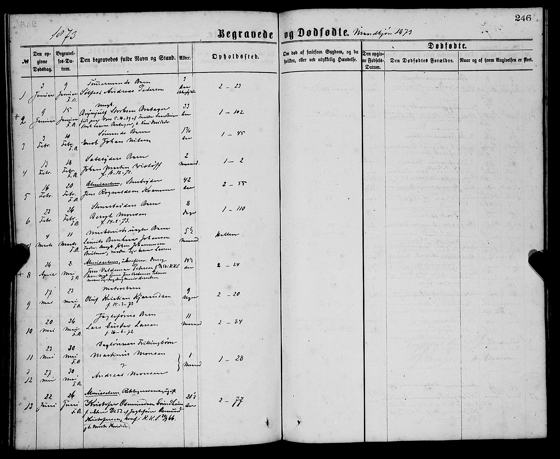 Sandviken Sokneprestembete, AV/SAB-A-77601/H/Ha/L0001: Ministerialbok nr. A 1, 1867-1877, s. 246