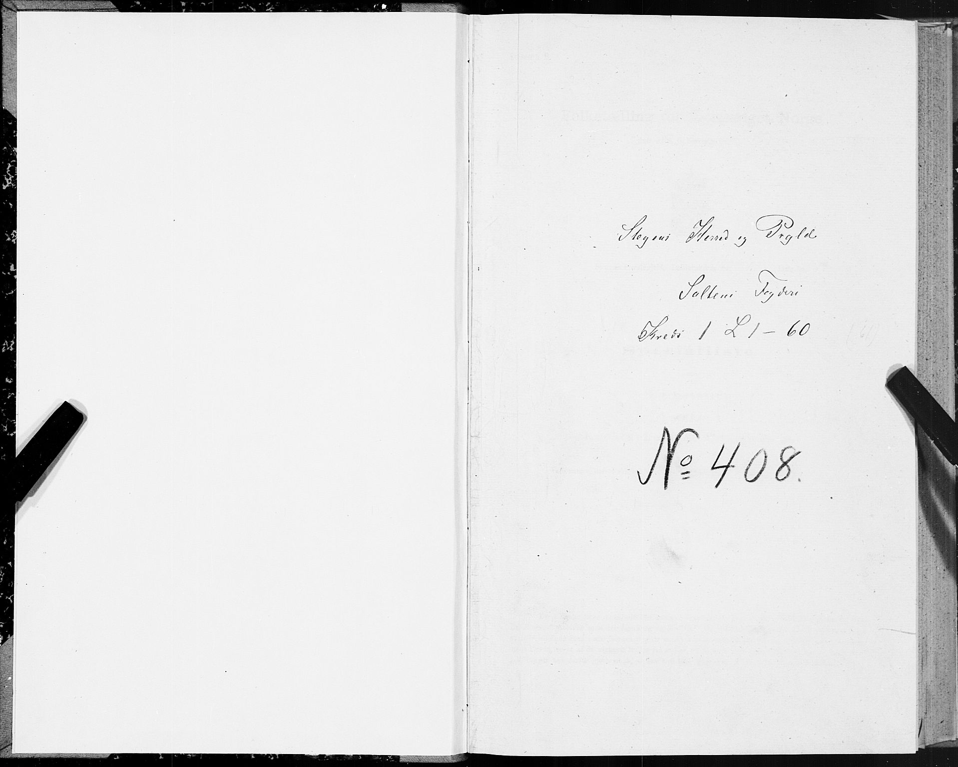 SAT, Folketelling 1875 for 1848P Steigen prestegjeld, 1875
