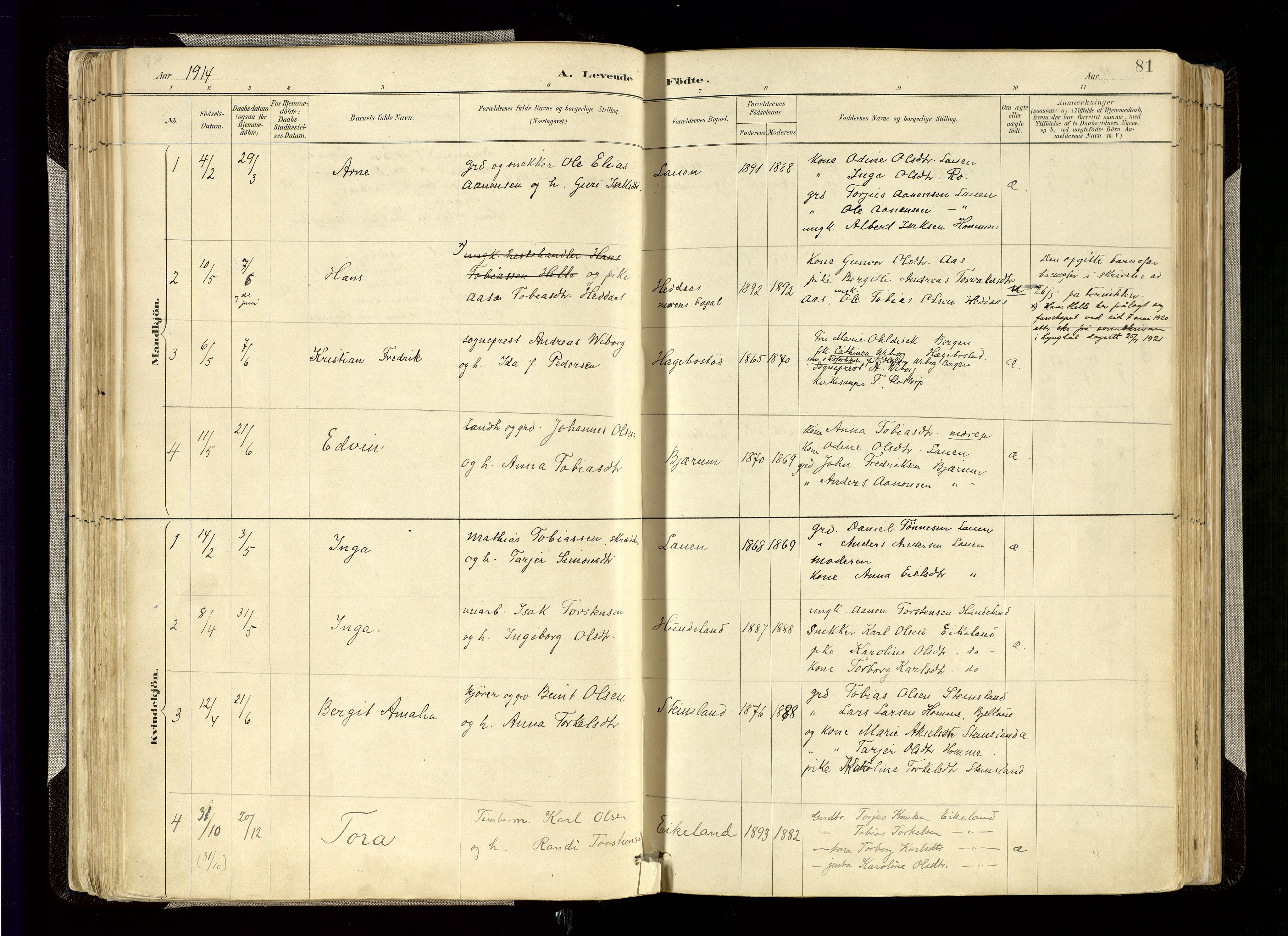 Hægebostad sokneprestkontor, AV/SAK-1111-0024/F/Fa/Faa/L0006: Ministerialbok nr. A 6, 1887-1929, s. 81