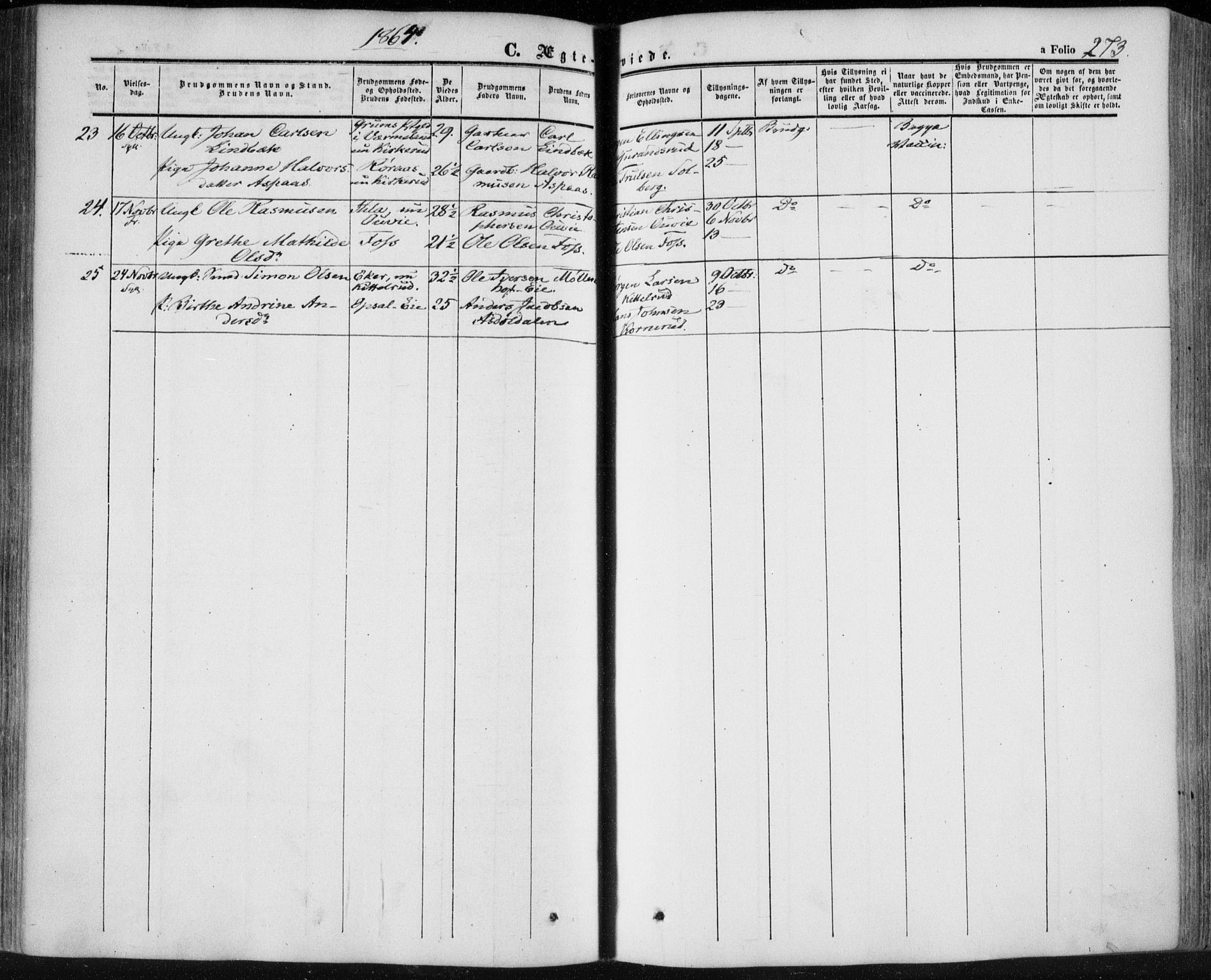 Lier kirkebøker, AV/SAKO-A-230/F/Fa/L0012: Ministerialbok nr. I 12, 1854-1864, s. 273
