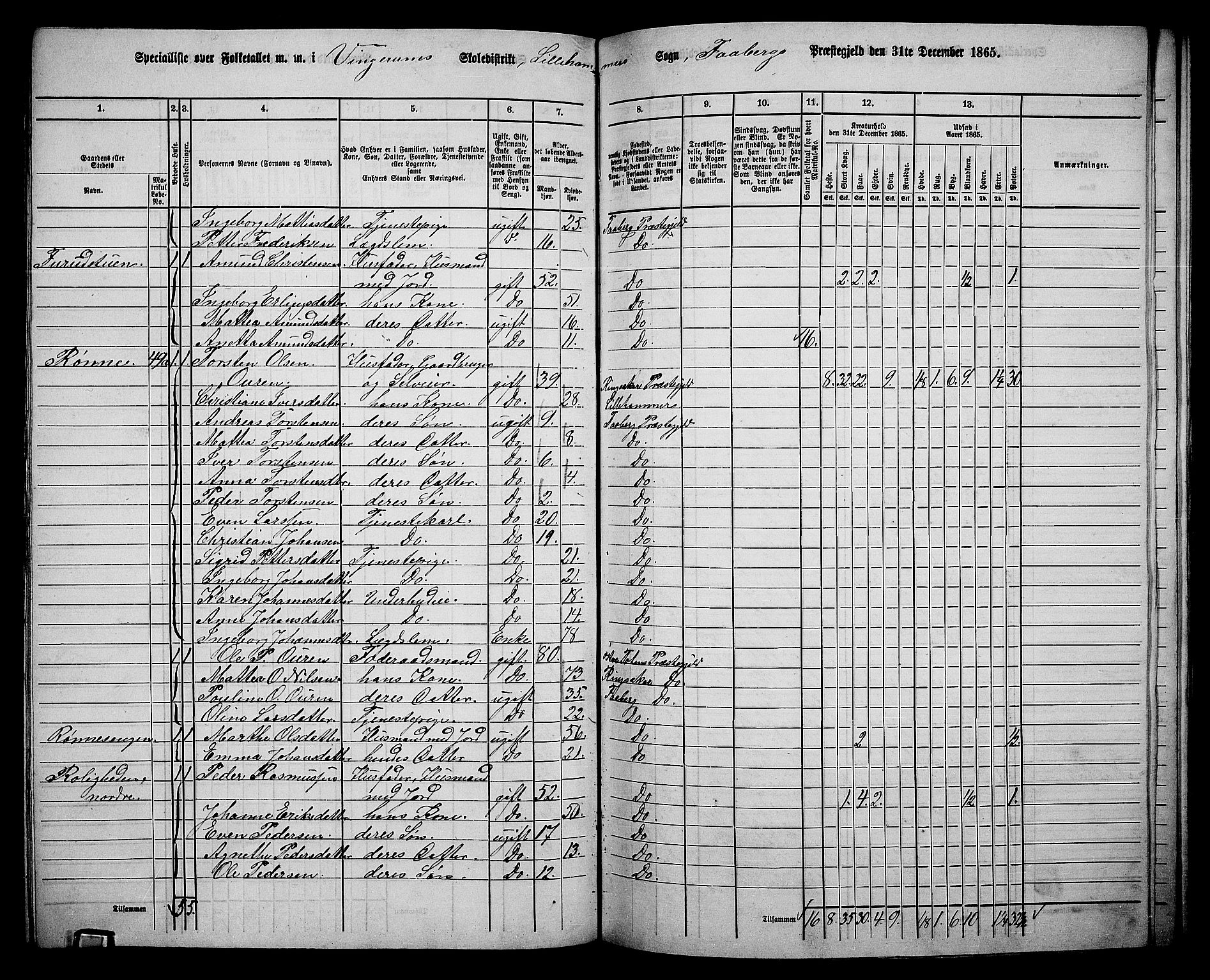 RA, Folketelling 1865 for 0524L Fåberg prestegjeld, Fåberg sokn og Lillehammer landsokn, 1865, s. 176