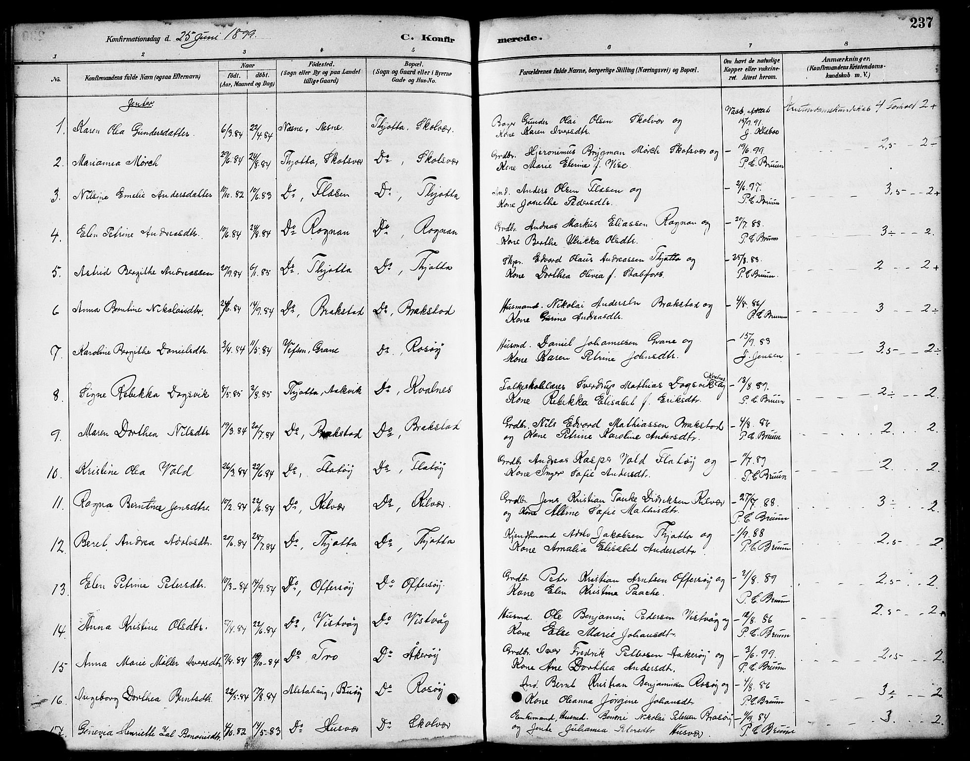 Ministerialprotokoller, klokkerbøker og fødselsregistre - Nordland, AV/SAT-A-1459/817/L0268: Klokkerbok nr. 817C03, 1884-1920, s. 237